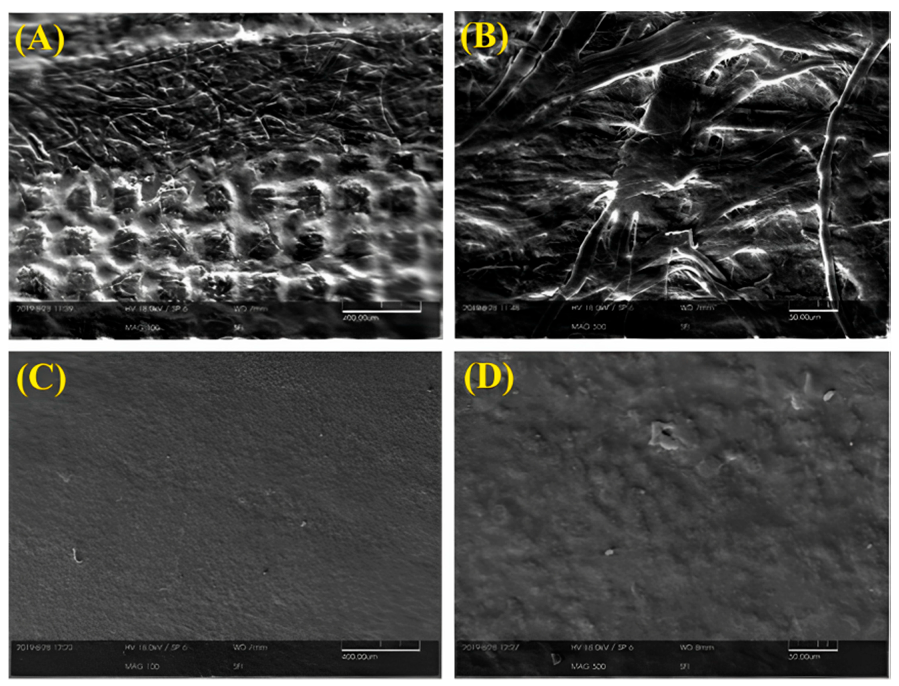 Sustainability 15 03736 g013