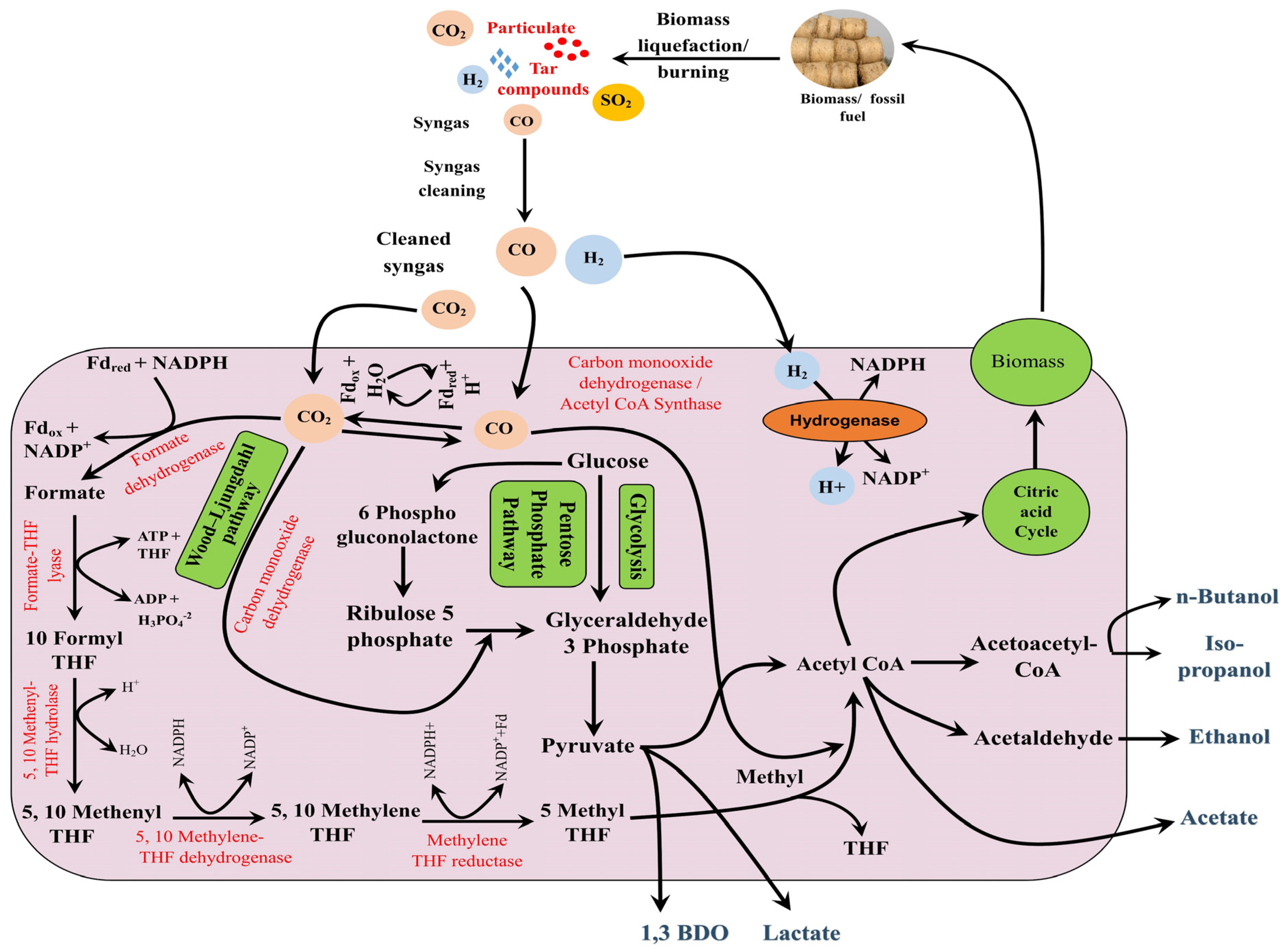 Sustainability 15 03765 g003