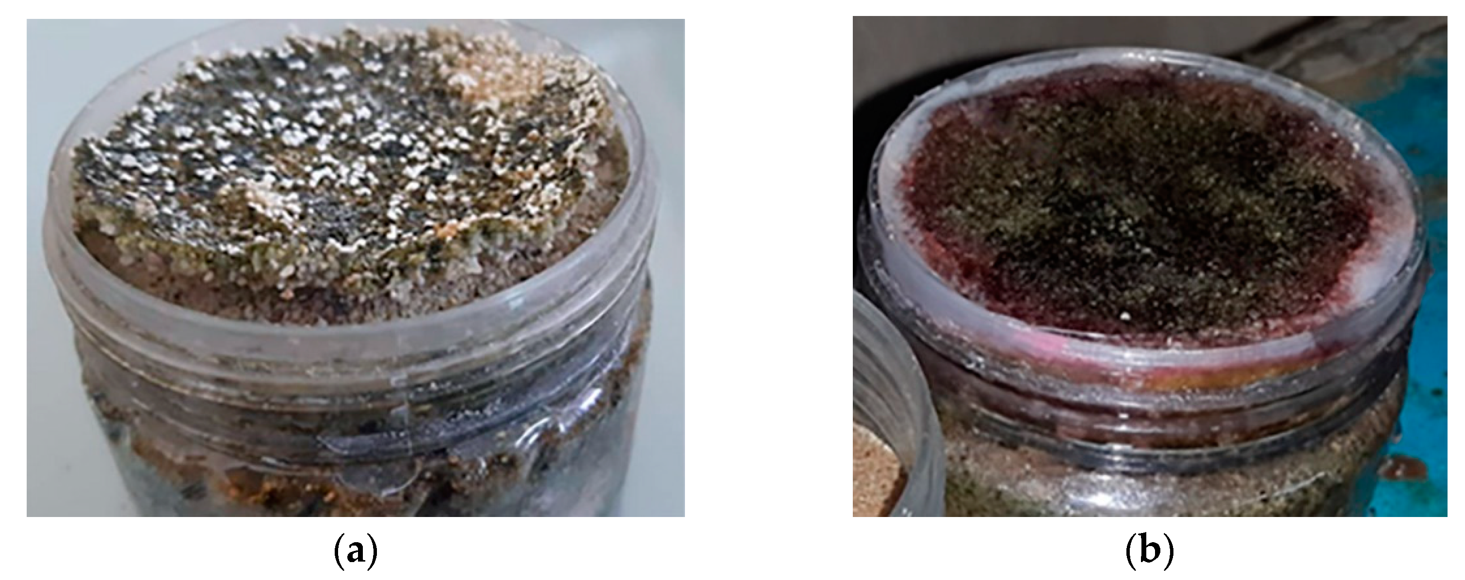 Sustainability 15 03811 g002