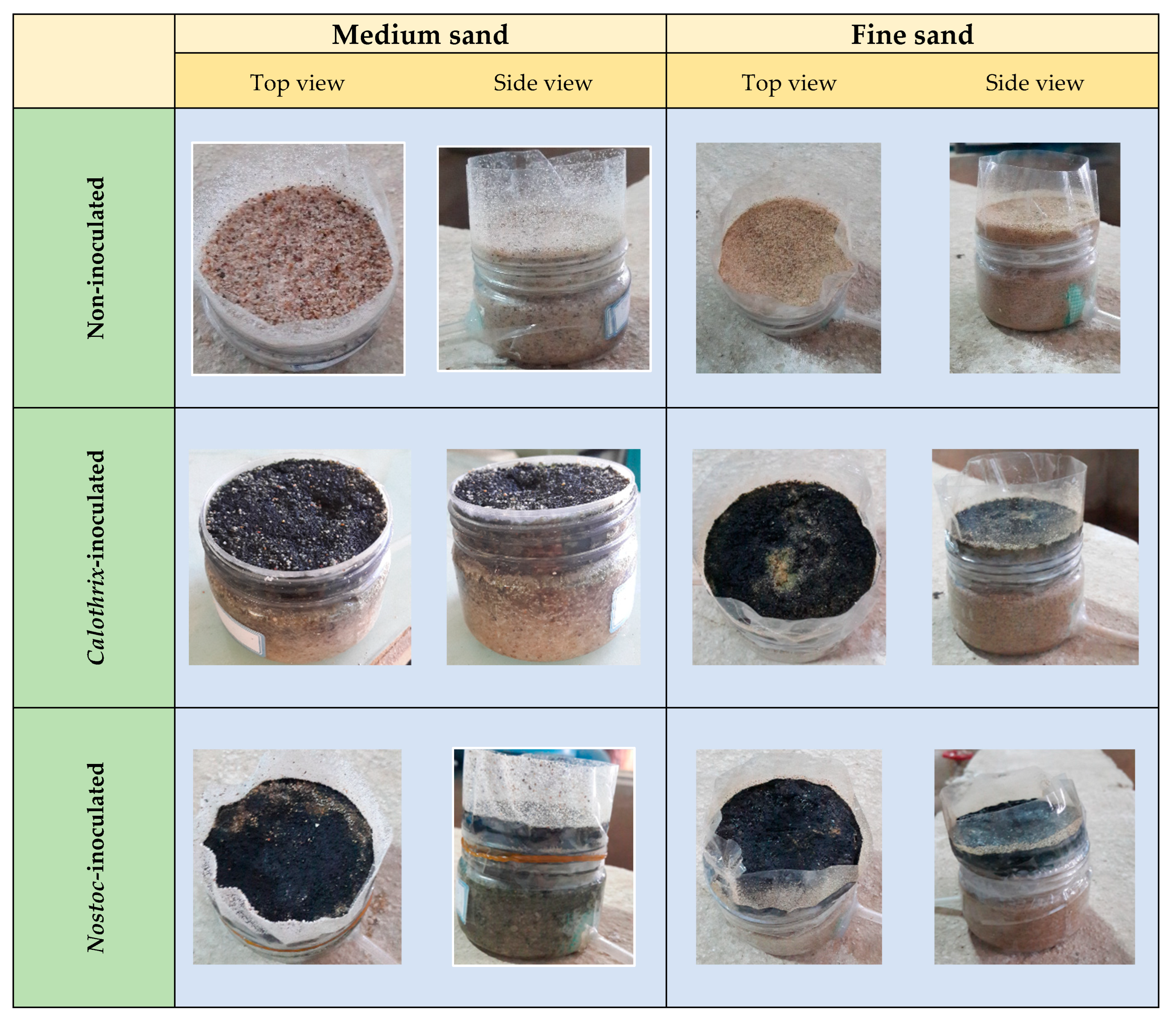 Sustainability 15 03811 g004