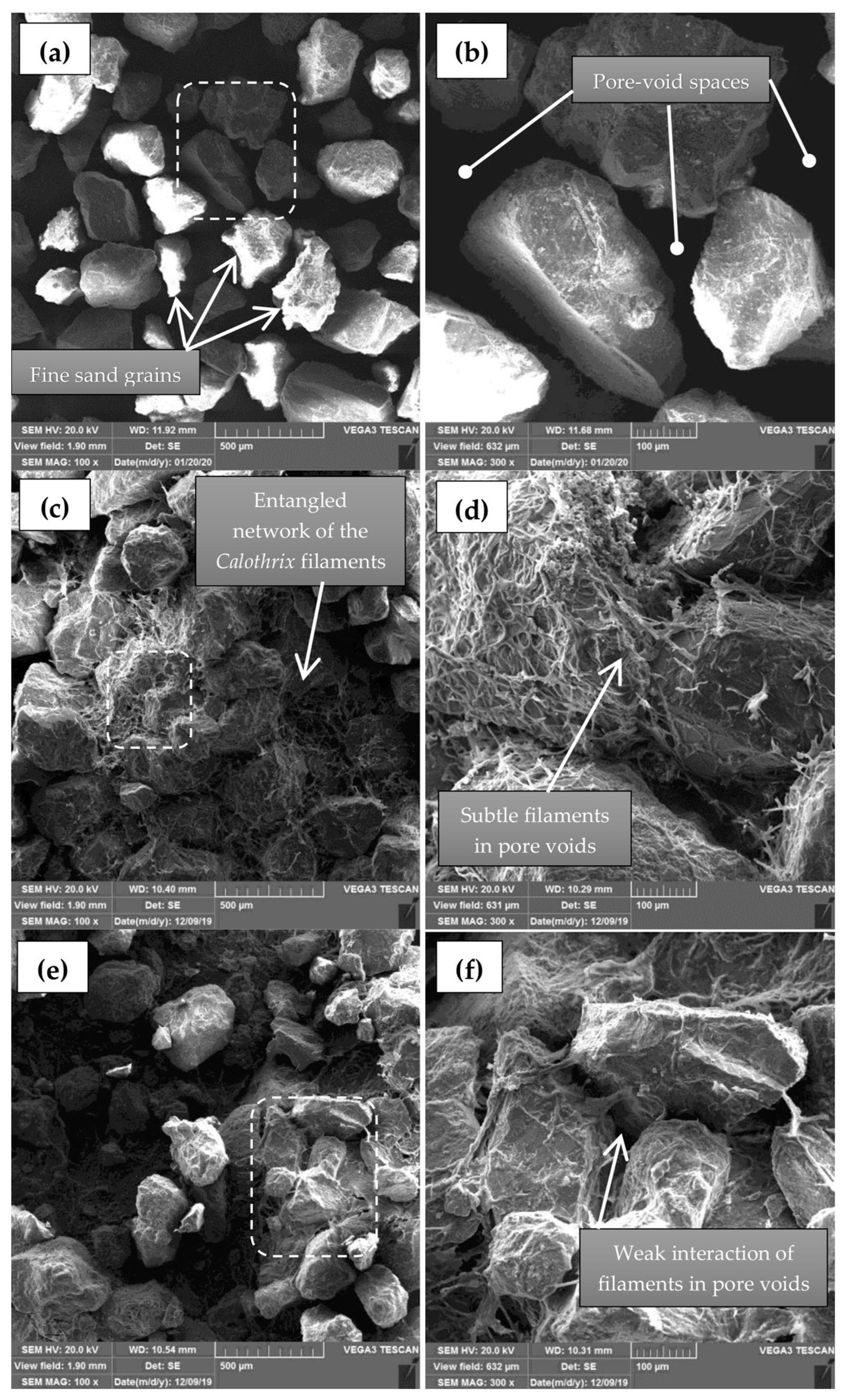 Sustainability 15 03811 g005