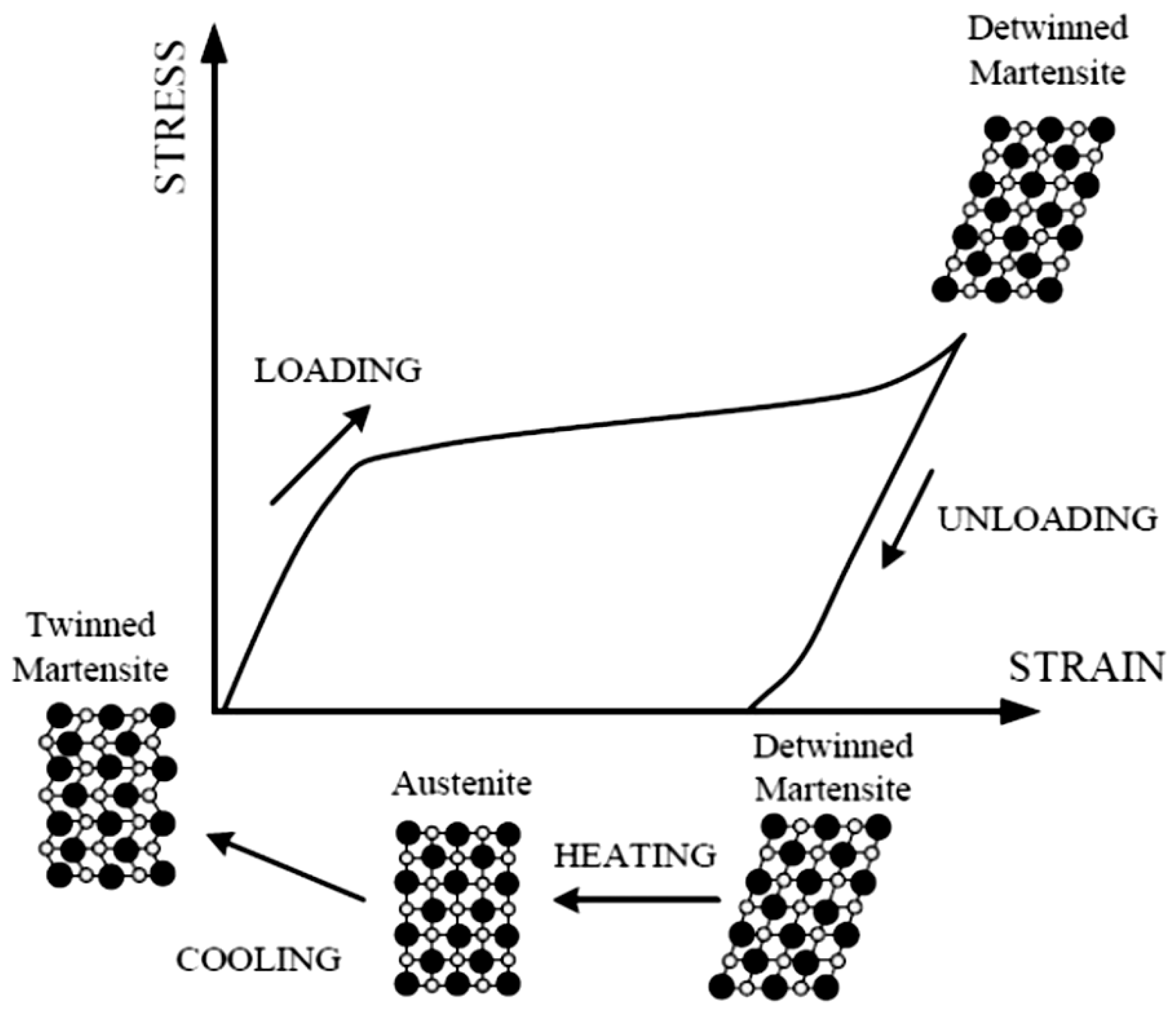 Sustainability 15 03831 g001