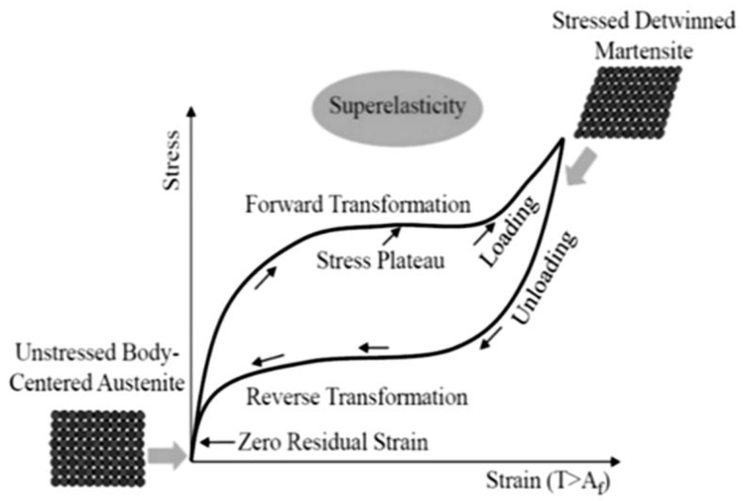 Sustainability 15 03831 g002