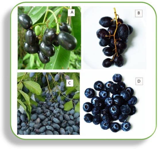 Sustainability 15 03852 g002