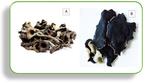 Sustainability 15 03852 g006