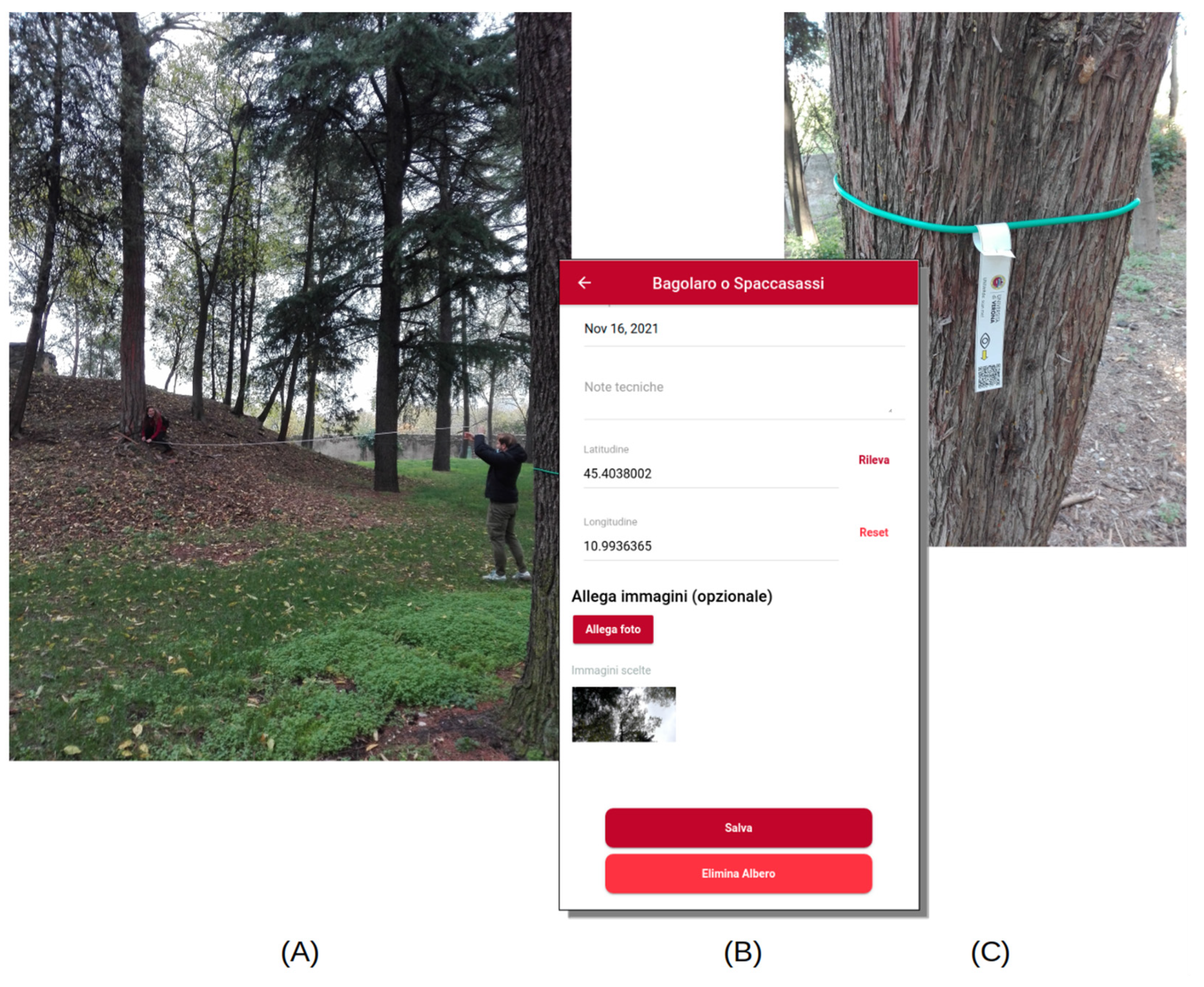 Sustainability 15 03905 g002