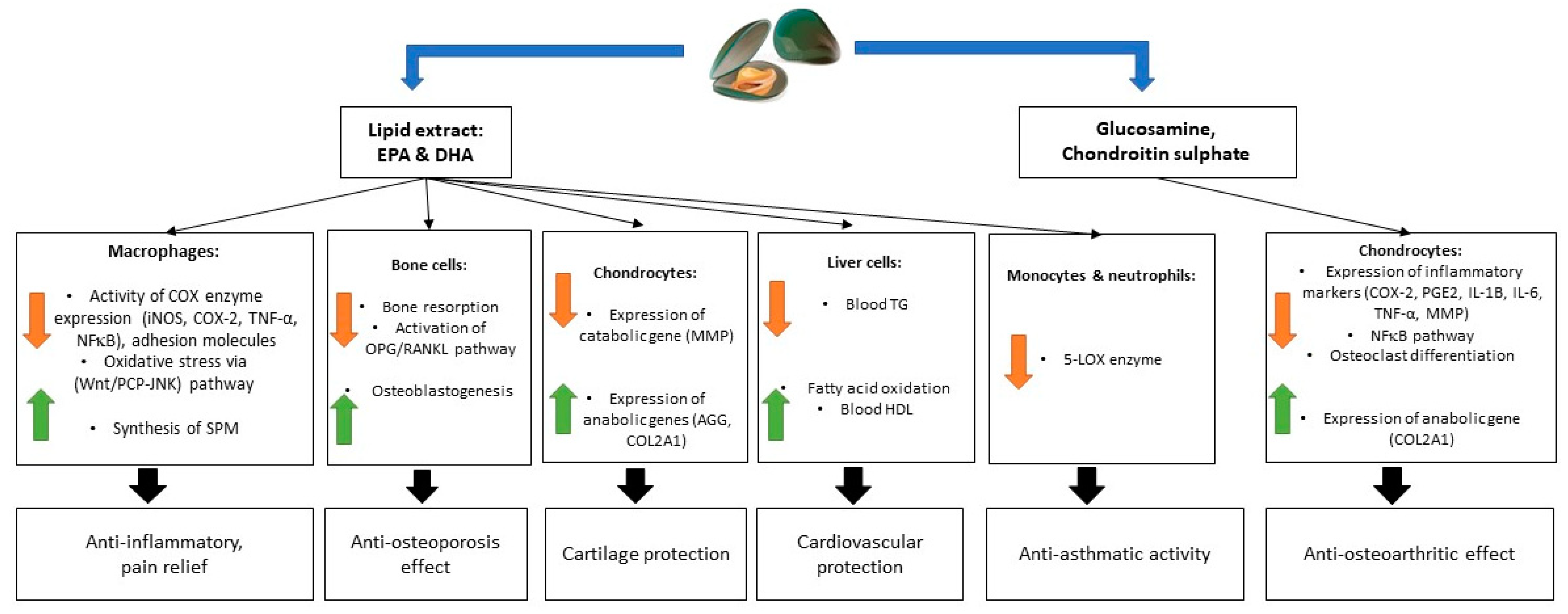 Sustainability 15 03912 g003