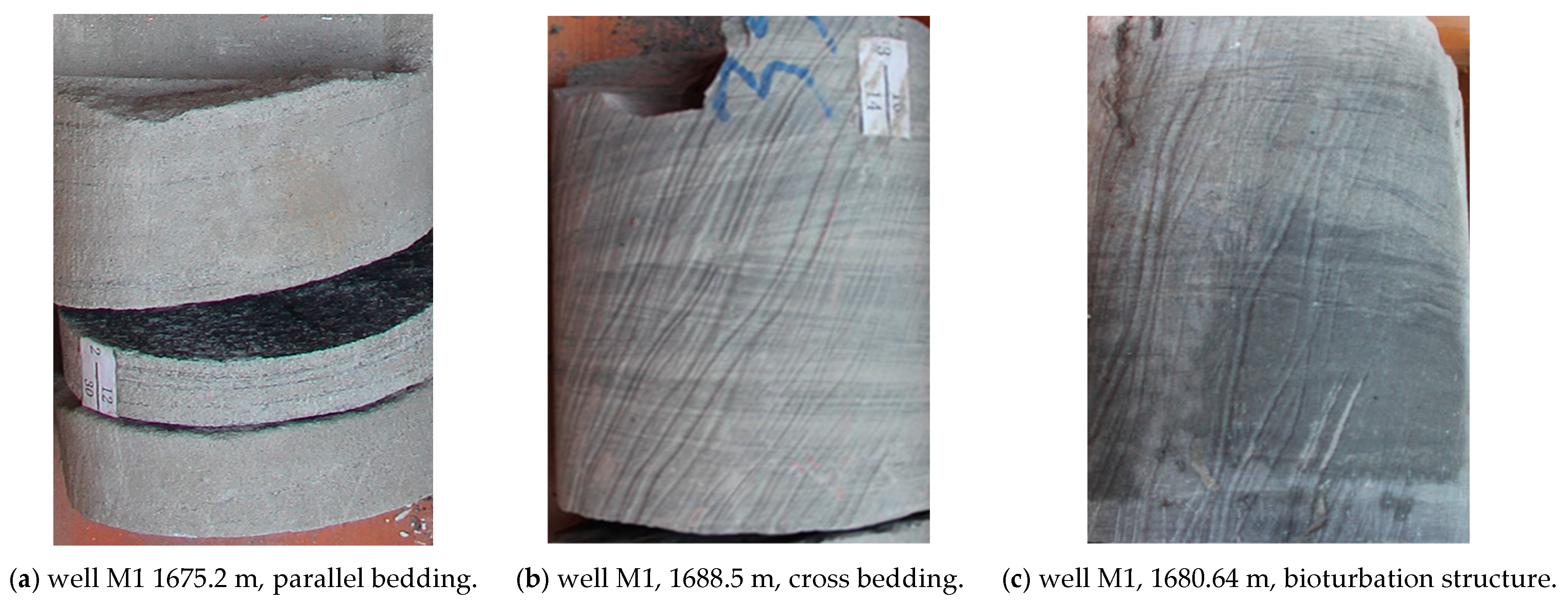 Sustainability 15 03920 g004