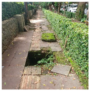 Sustainability 15 03942 i003 Sustainability 15 03942 i003