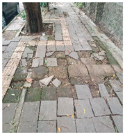 Sustainability 15 03942 i004 Sustainability 15 03942 i004