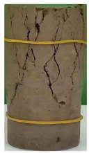 Sustainability 15 03984 i010