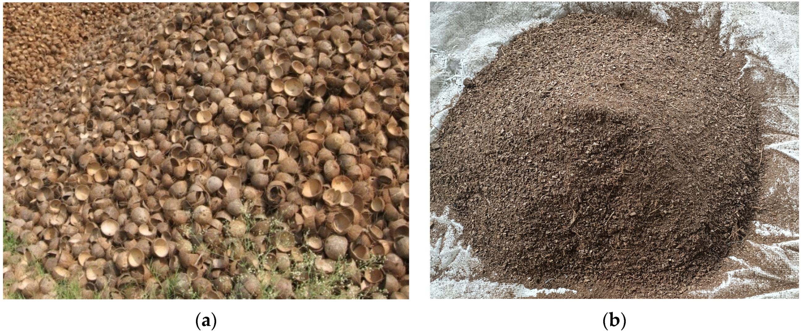 Sustainability 15 03995 g001