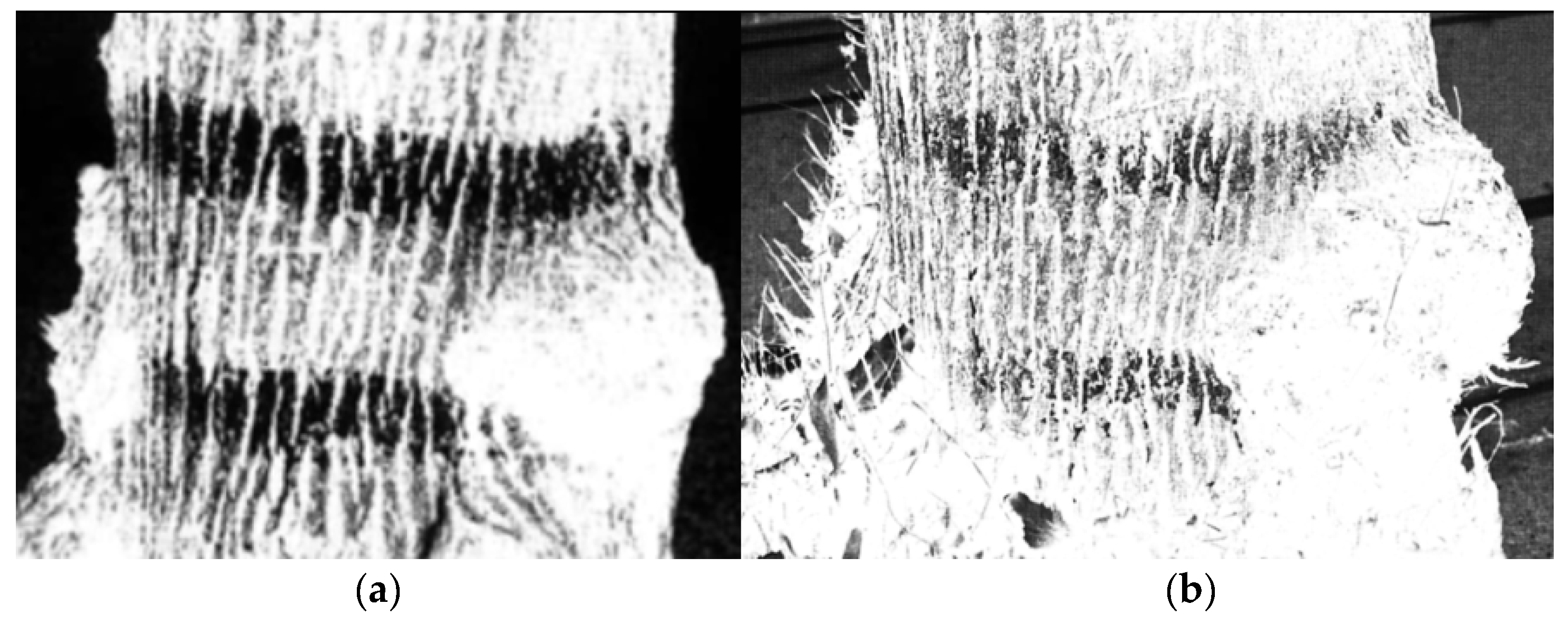 Sustainability 15 04022 g001