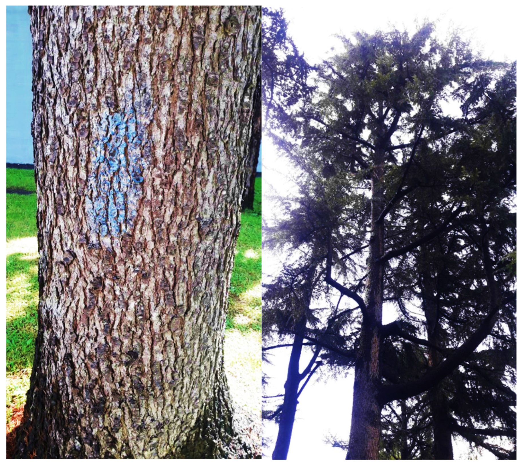 Sustainability 15 04022 g002