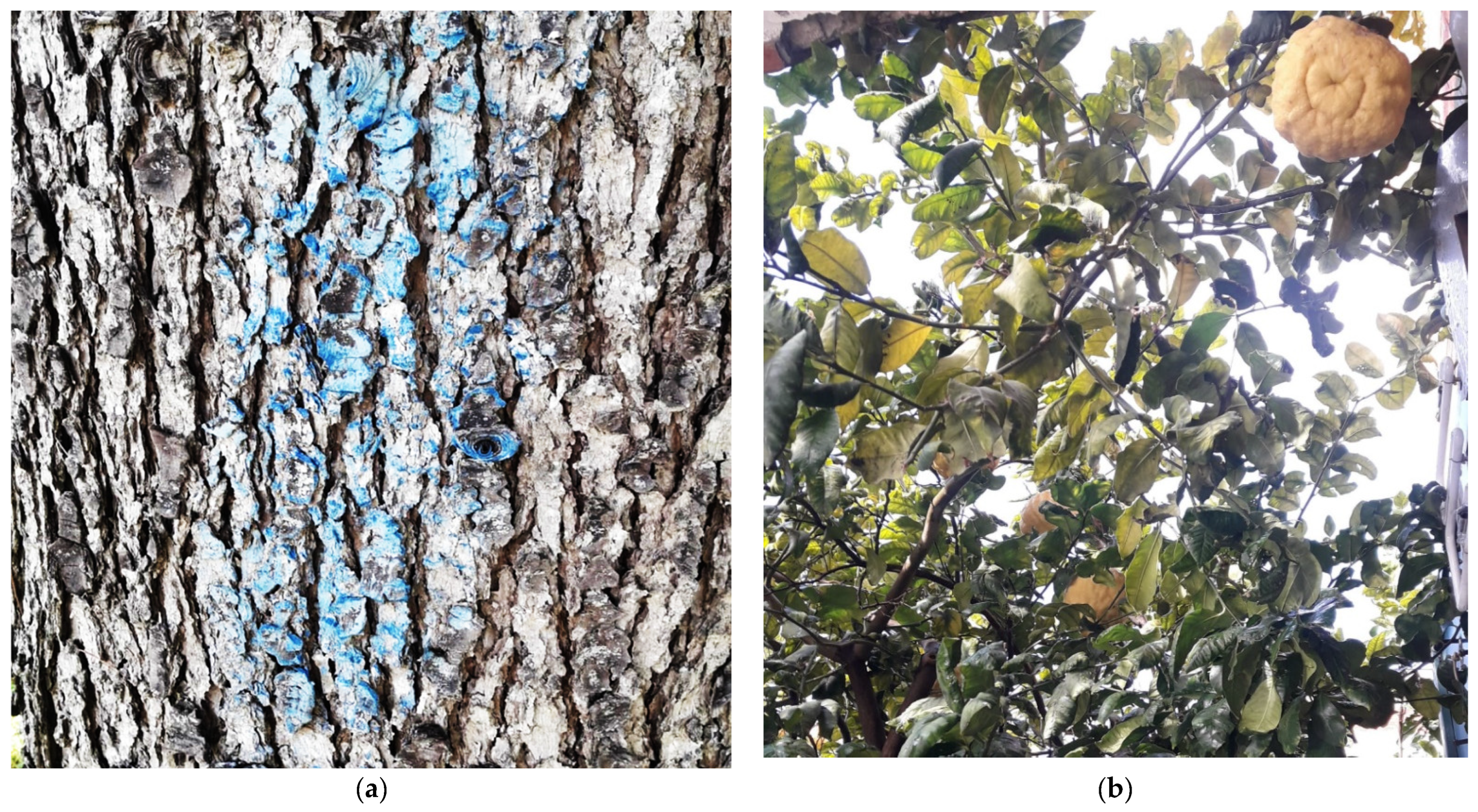 Sustainability 15 04022 g003