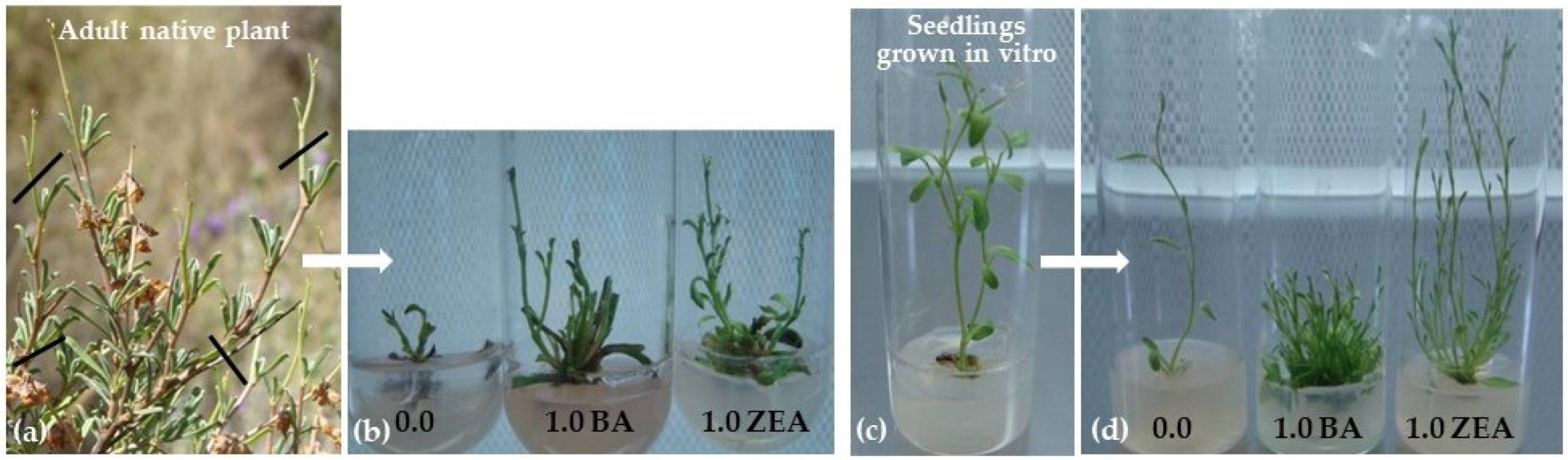 Sustainability 15 04025 g002