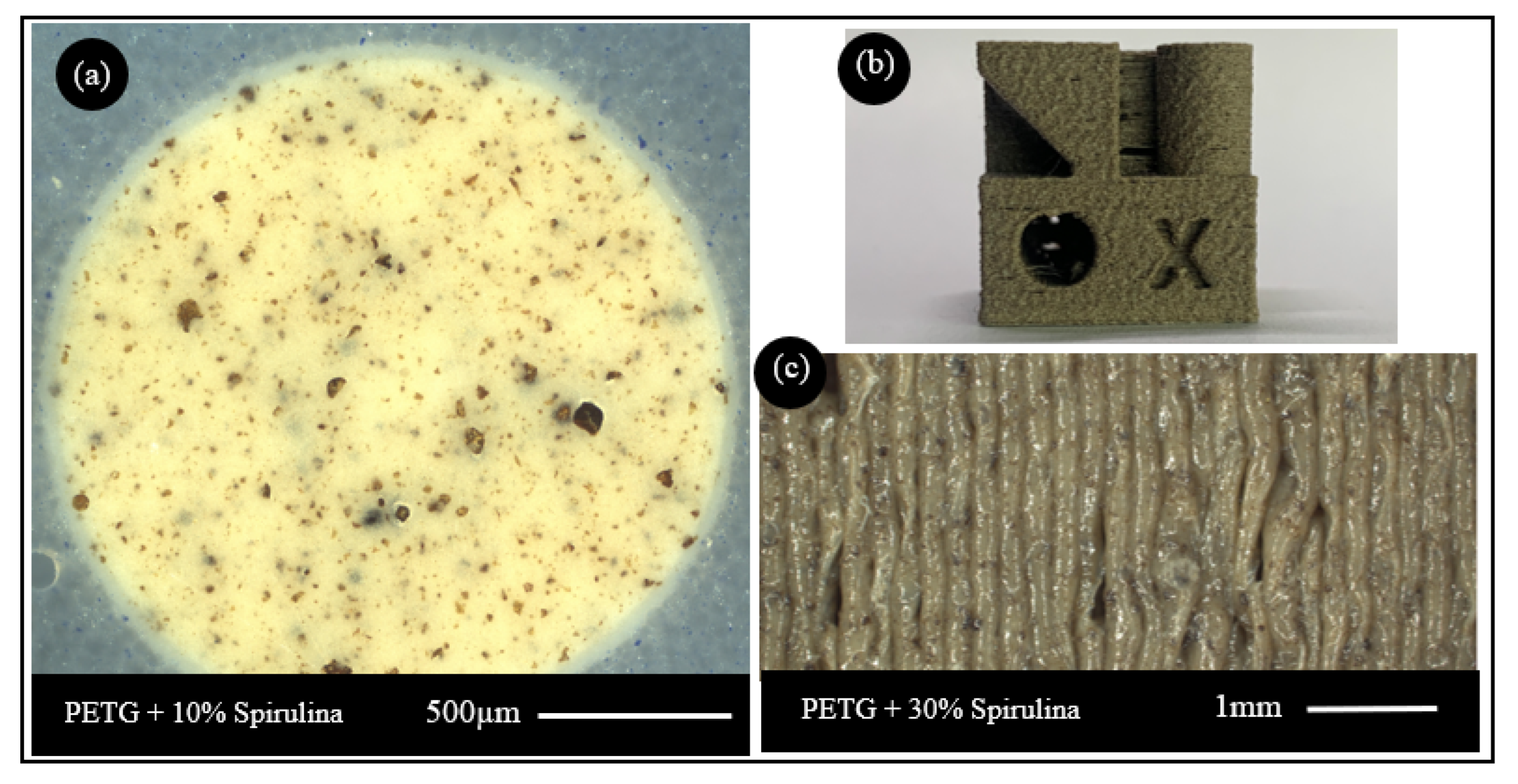 Sustainability 15 04039 g005