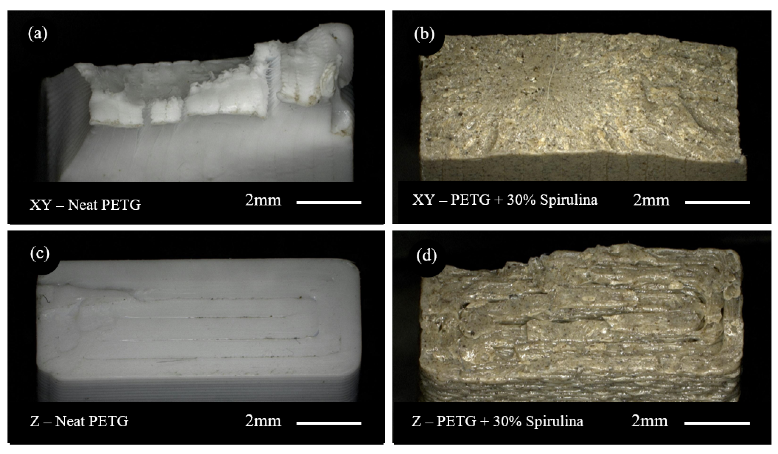 Sustainability 15 04039 g007