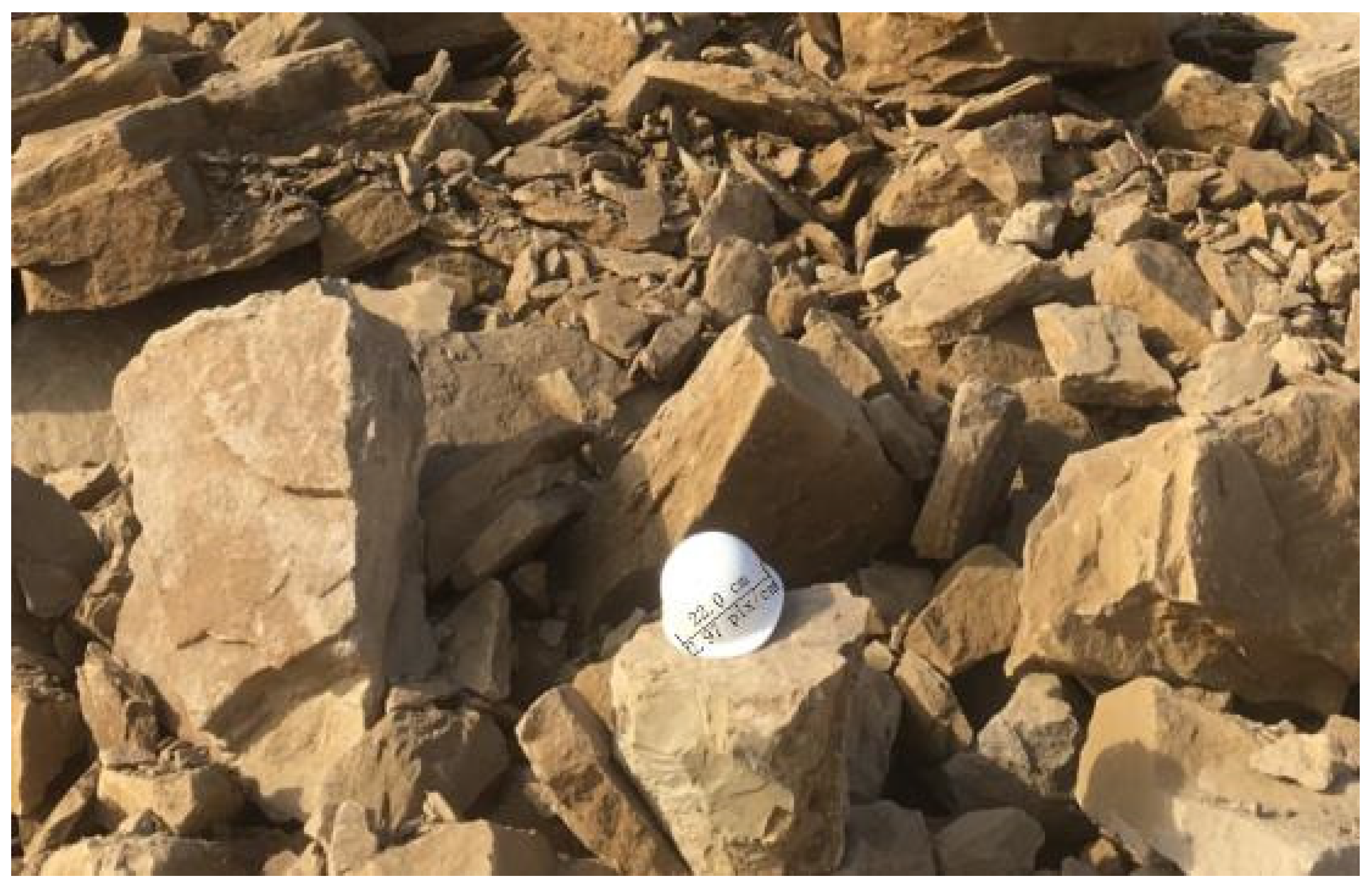 Sustainability 15 04257 g020