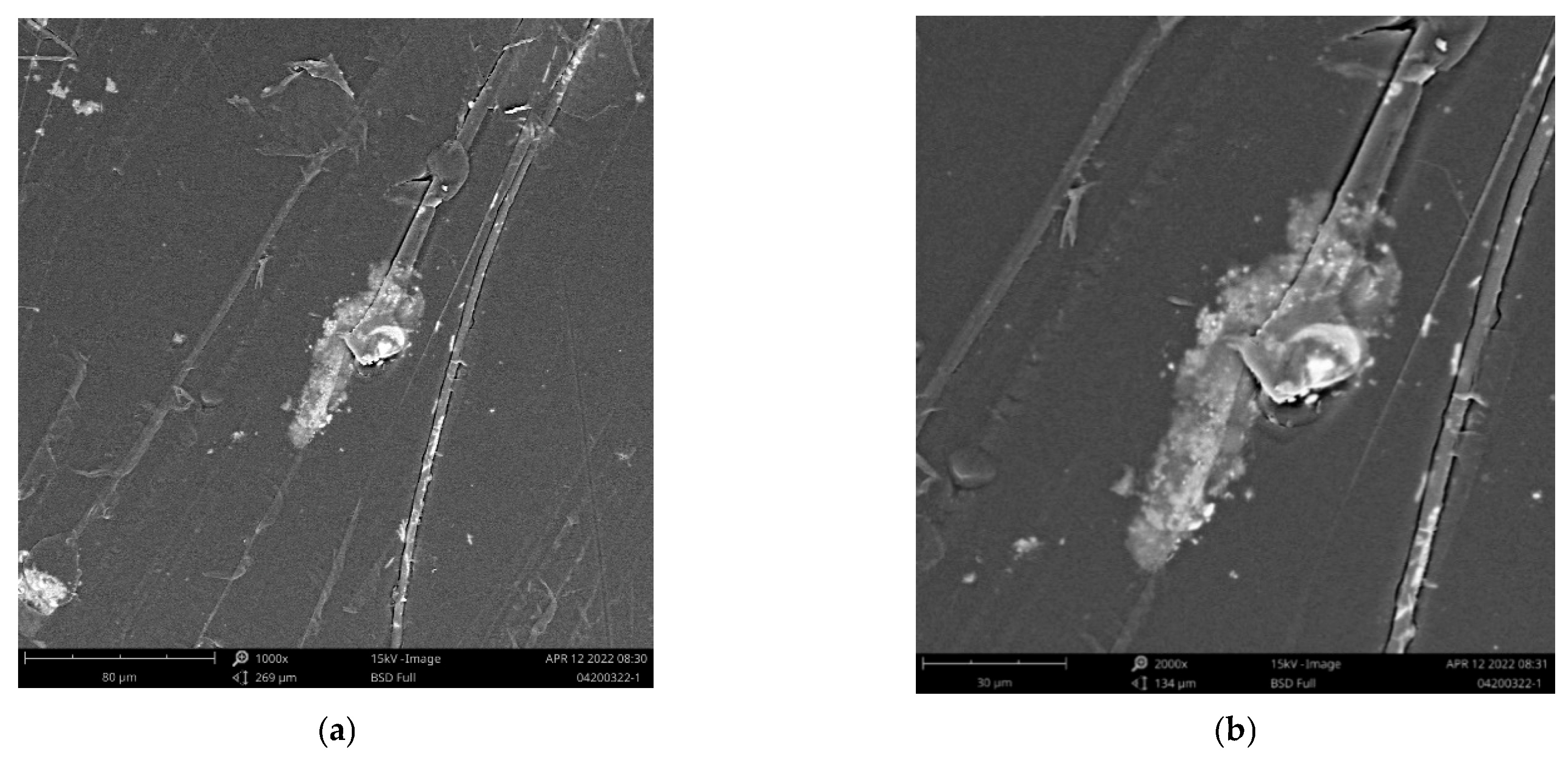 Sustainability 15 04271 g011