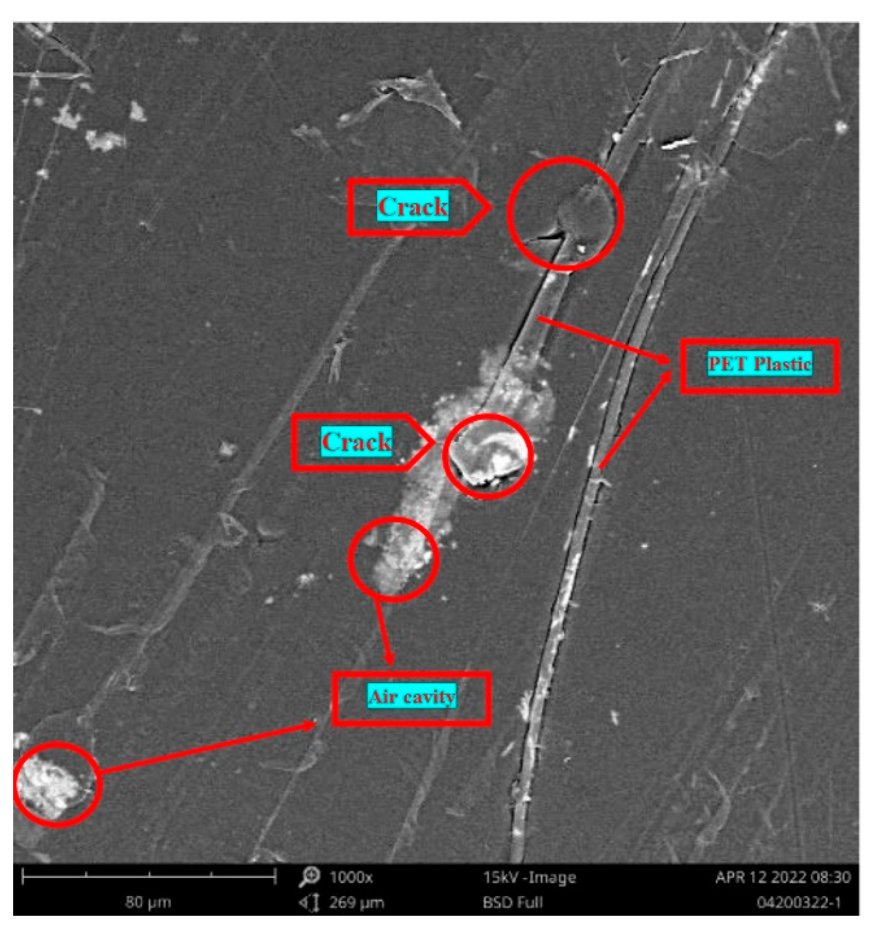 Sustainability 15 04271 g012