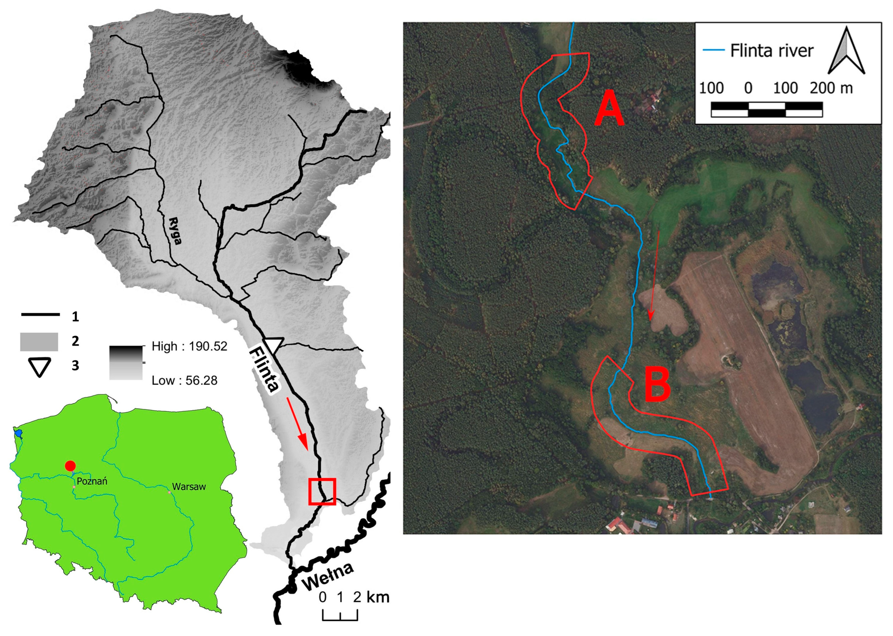 Sustainability 15 04302 g001