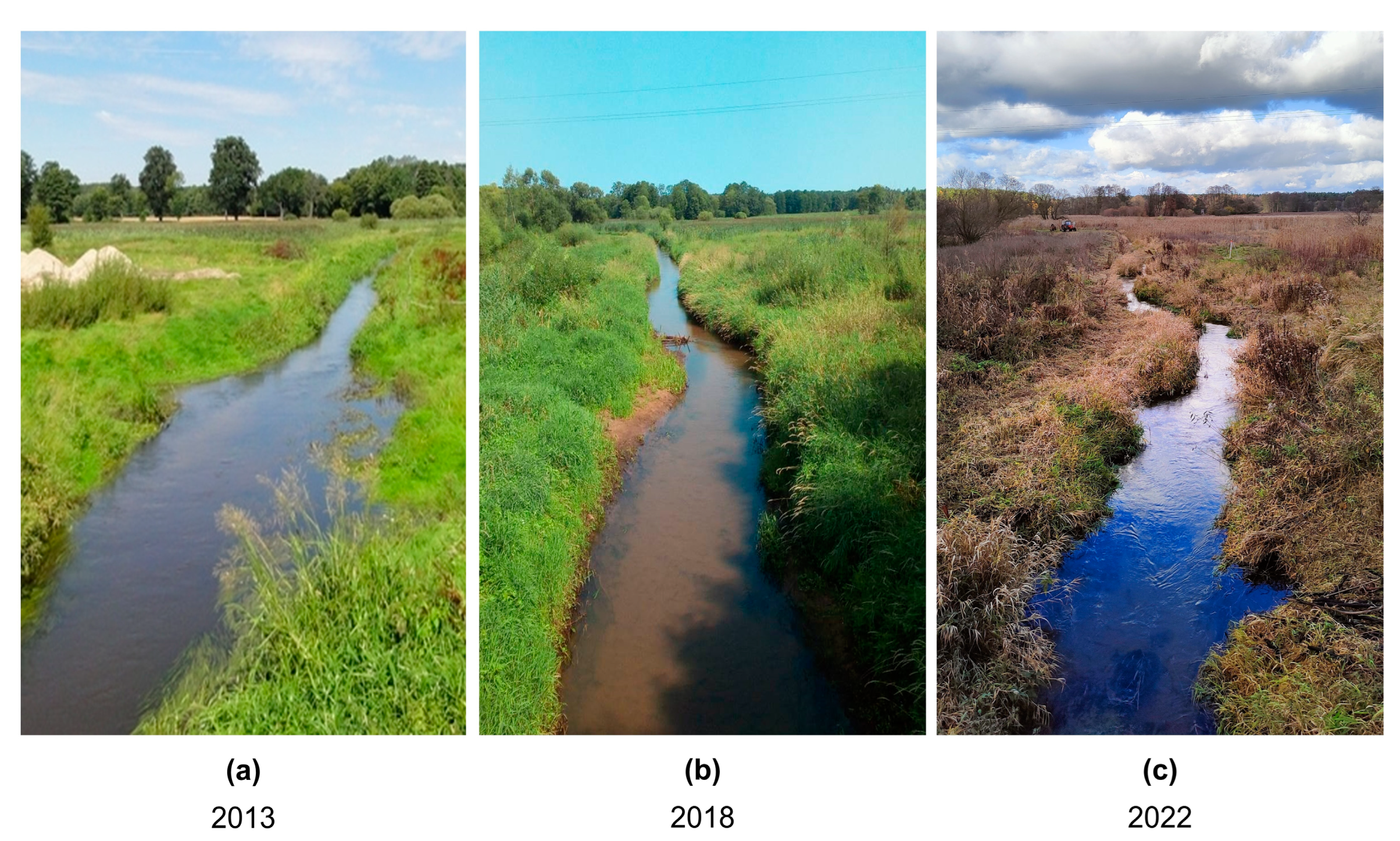 Sustainability 15 04302 g002