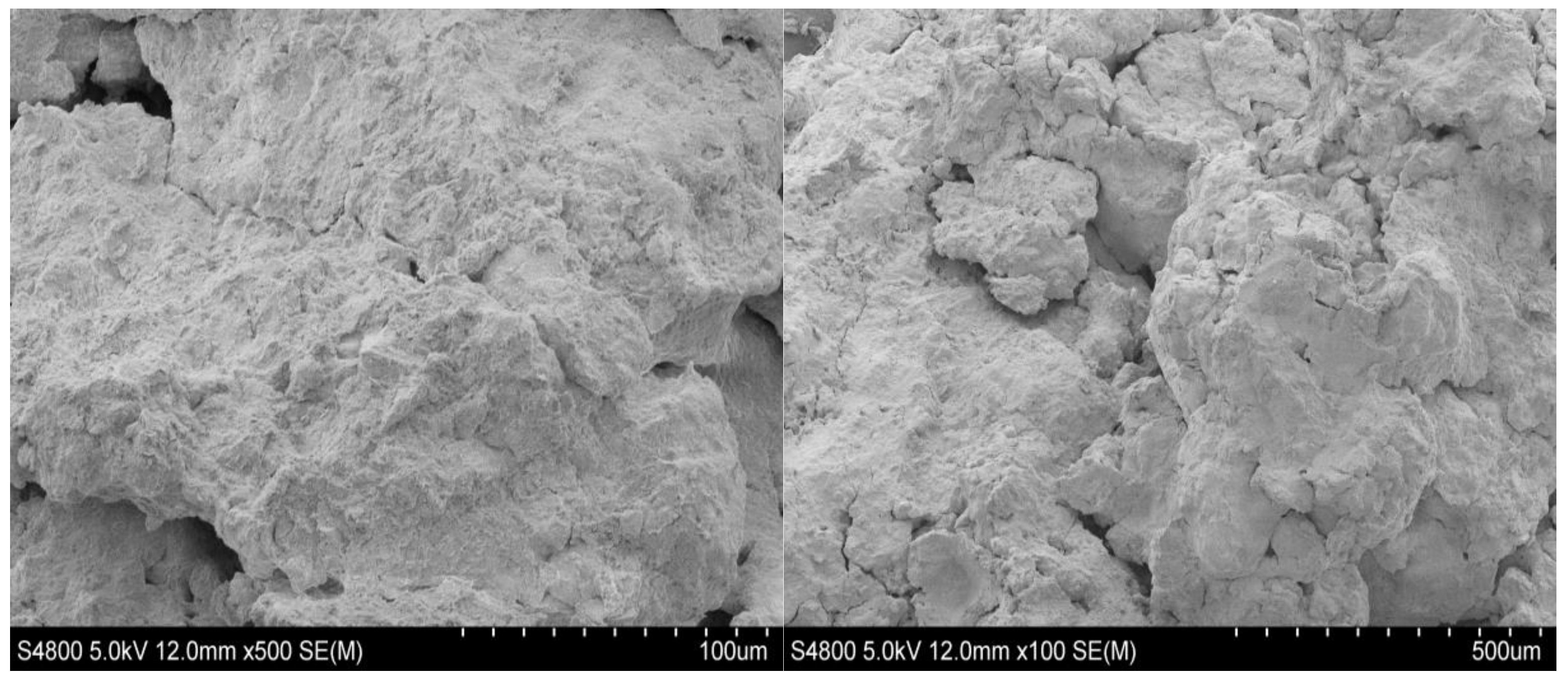 Sustainability 15 04411 g015