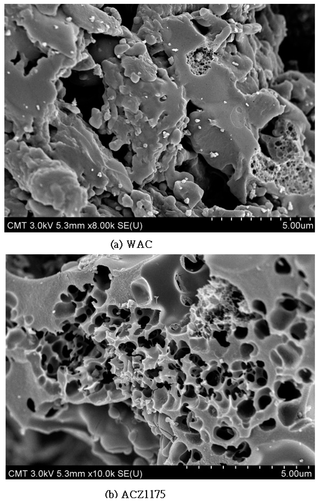 Sustainability 15 04412 g003