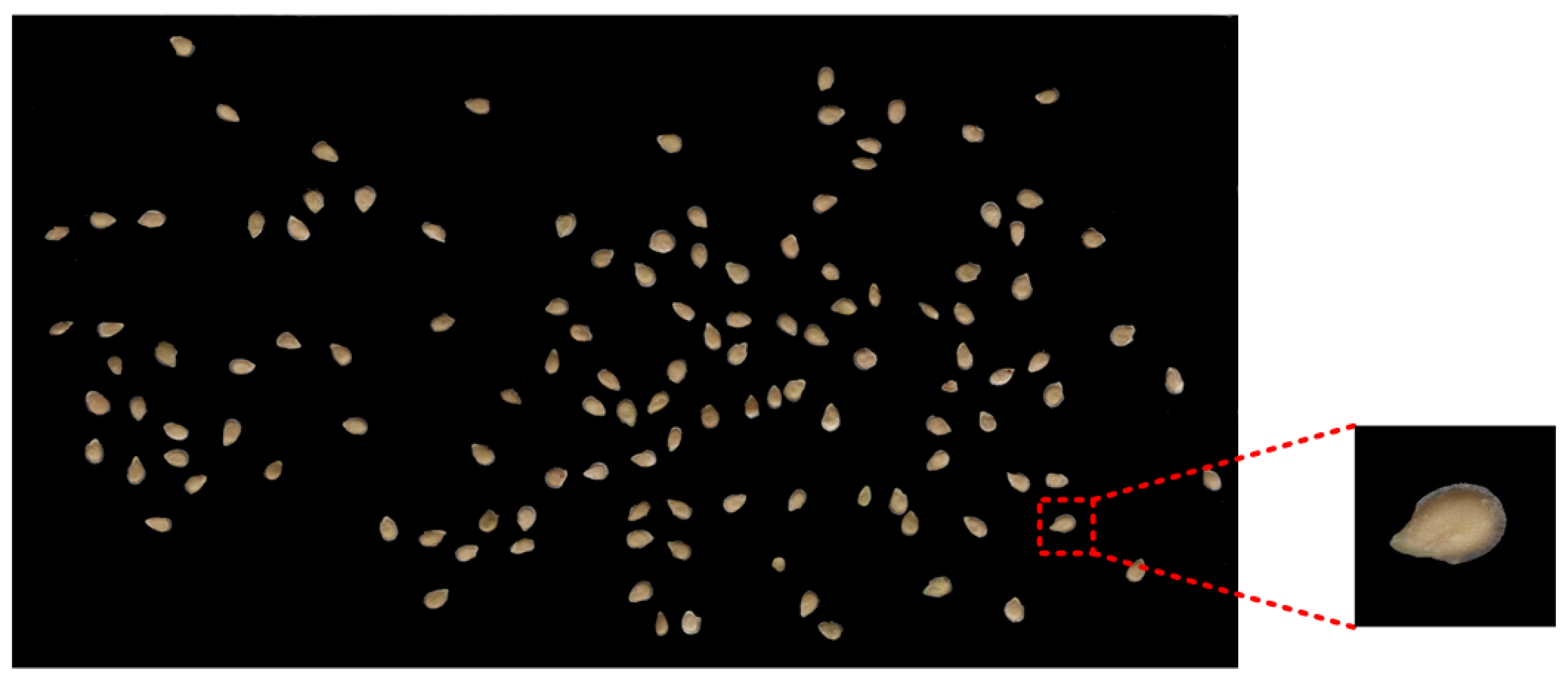 Sustainability 15 04443 g002 Sustainability 15 04443 g002