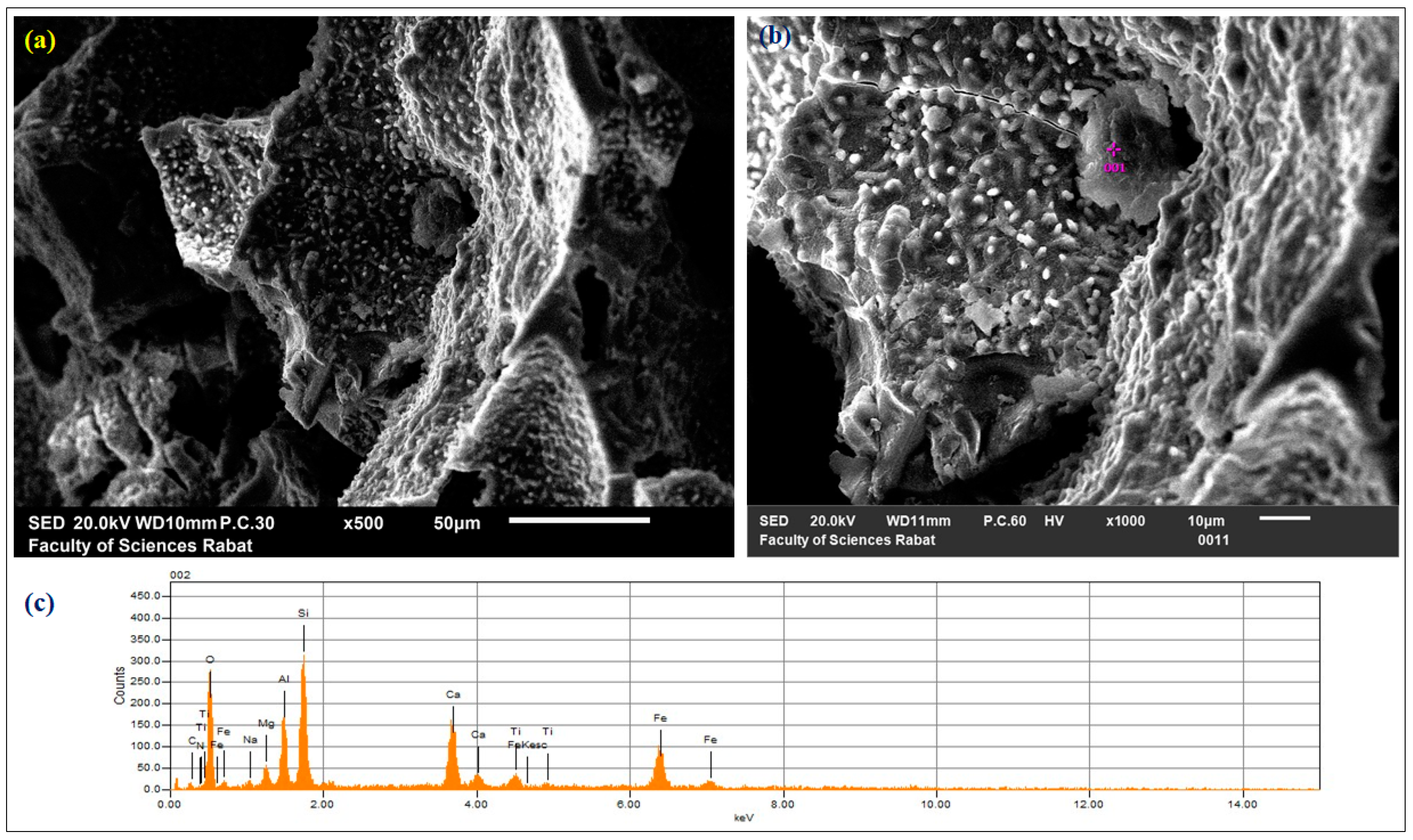 Sustainability 15 04453 g003