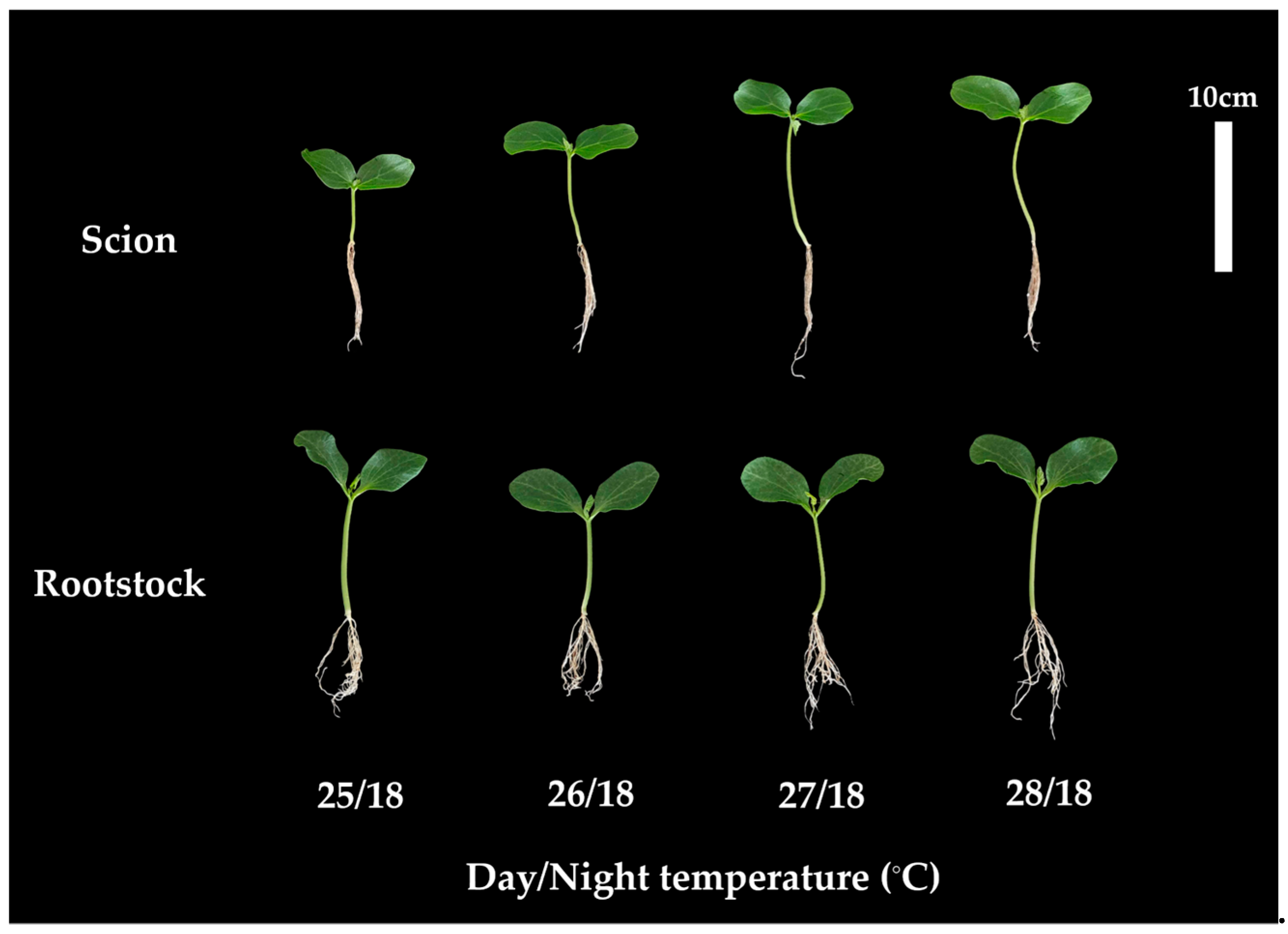 Sustainability 15 04481 g005