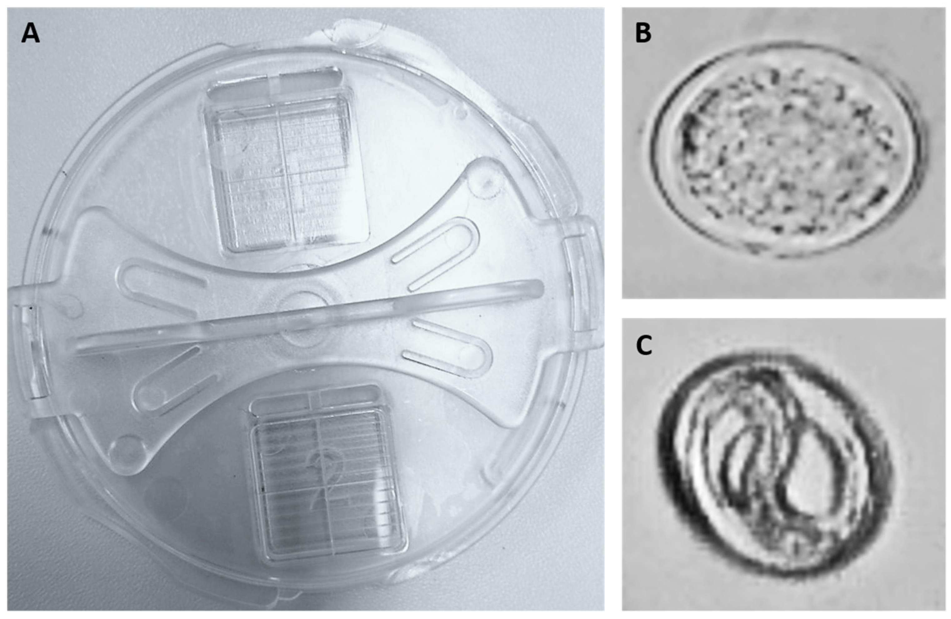 Sustainability 15 04624 g002