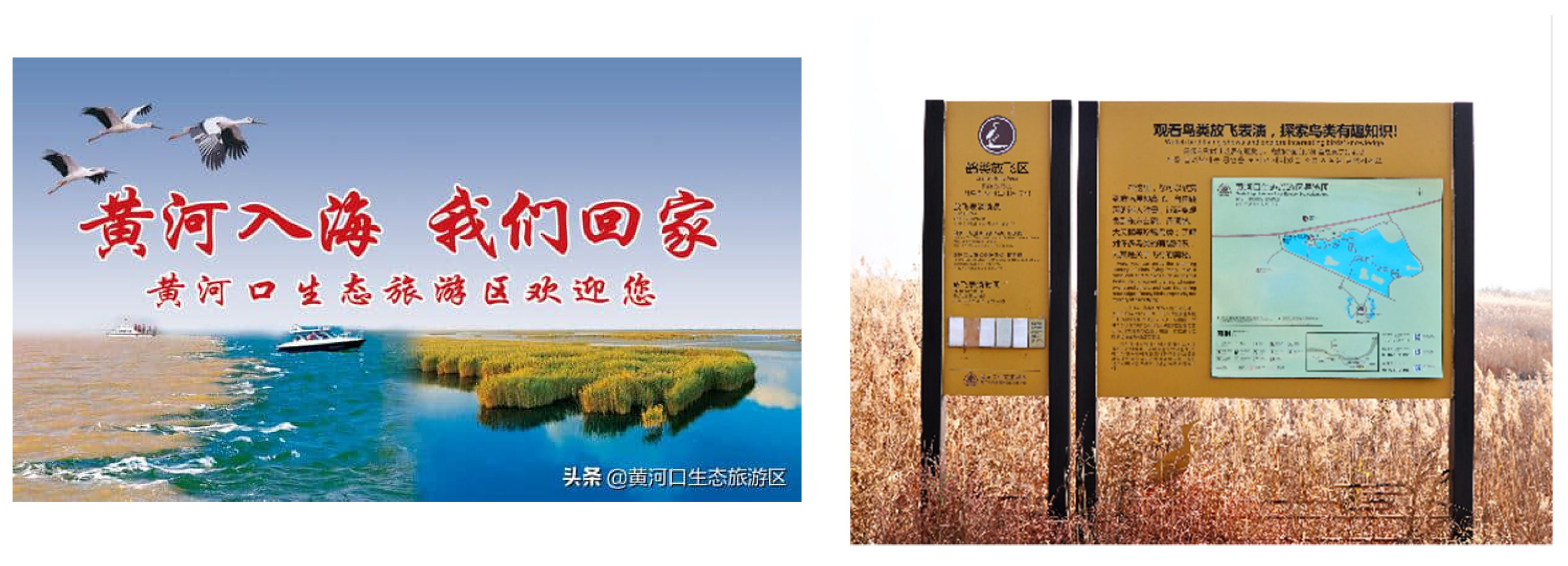 Sustainability 15 04750 g005