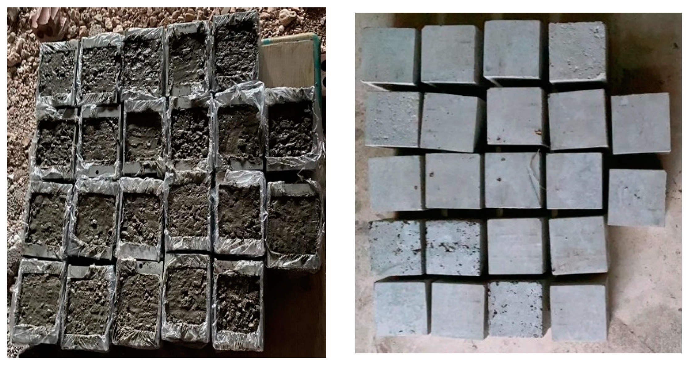 Sustainability 15 04752 g002