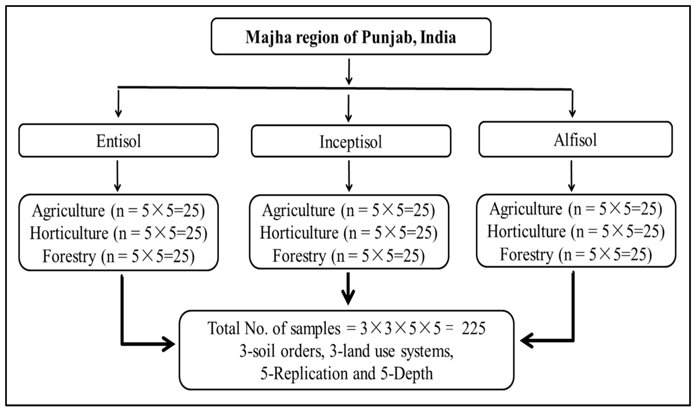 Sustainability 15 04779 g002