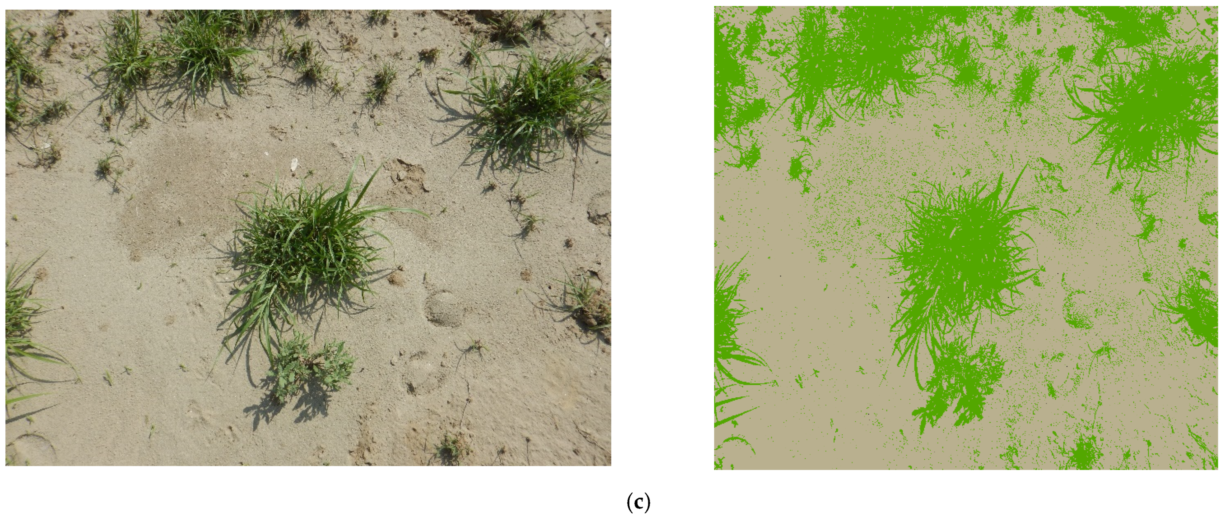 Sustainability 15 04849 g004b