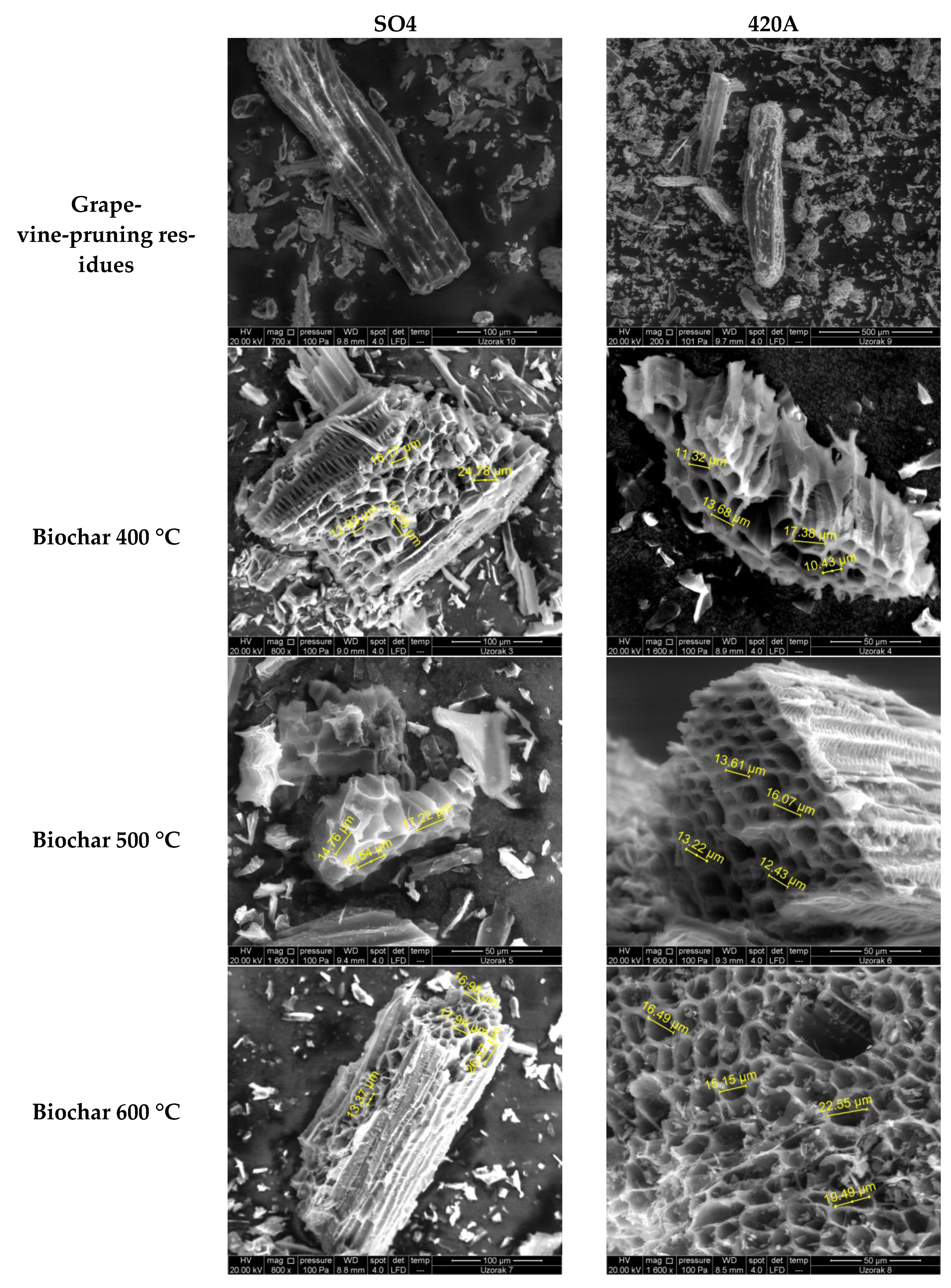 Sustainability 15 04851 g001