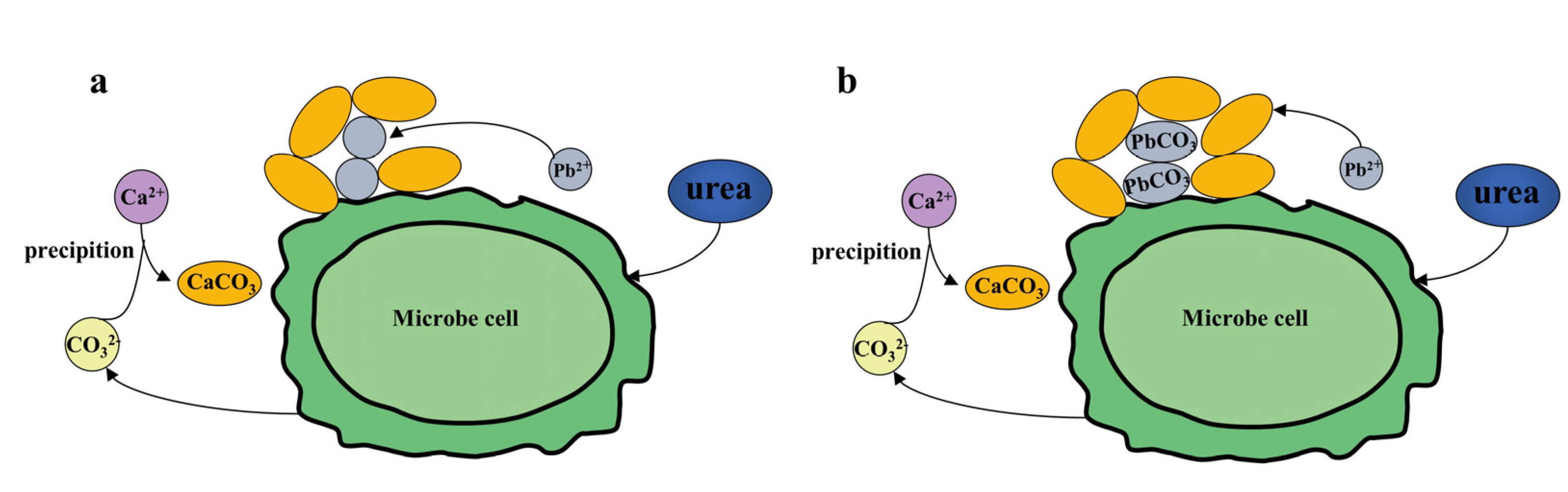 Sustainability 15 04858 g001