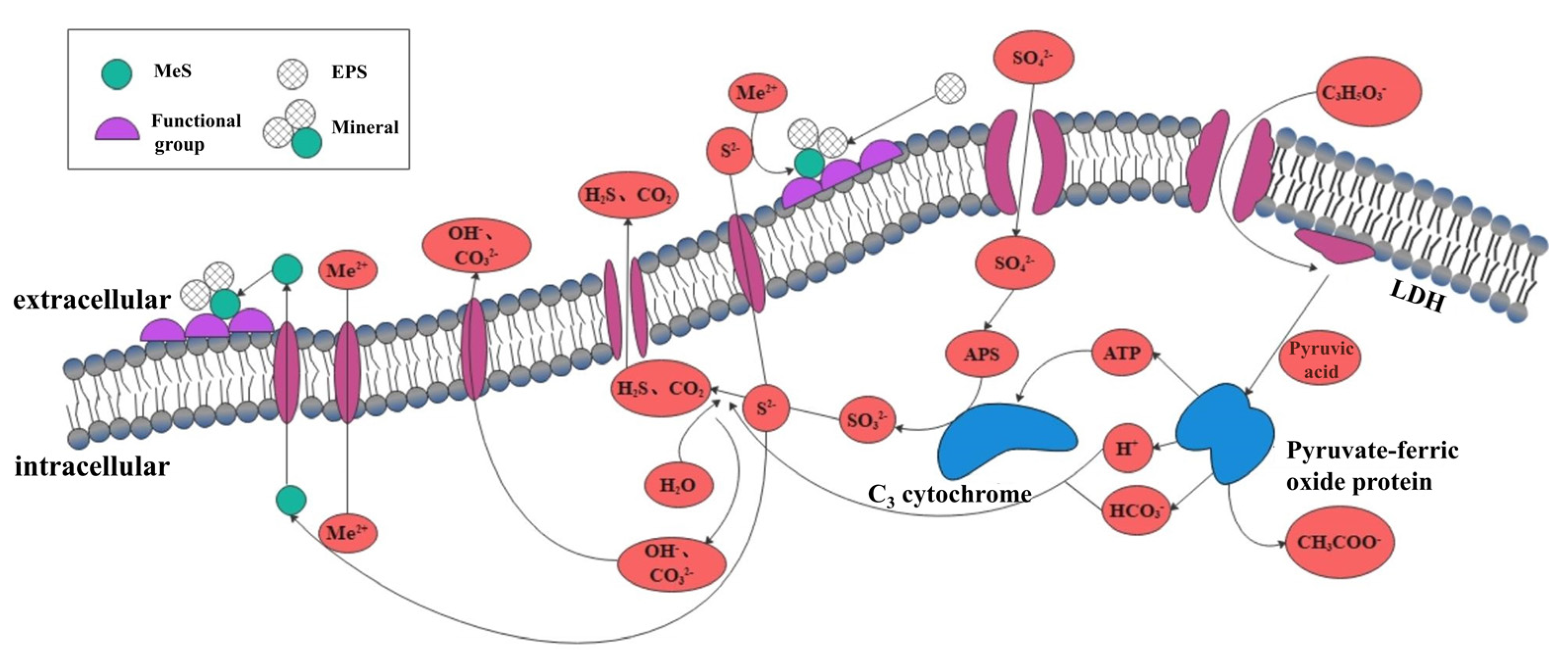 Sustainability 15 04858 g002