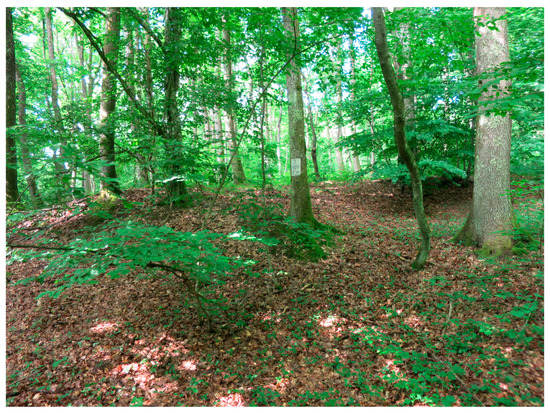 Sustainability 15 04862 g0a10