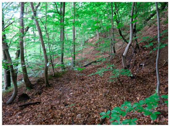 Sustainability 15 04862 g0a11