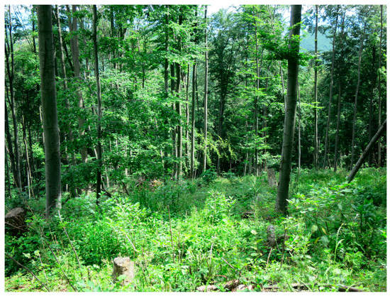 Sustainability 15 04862 g0a13