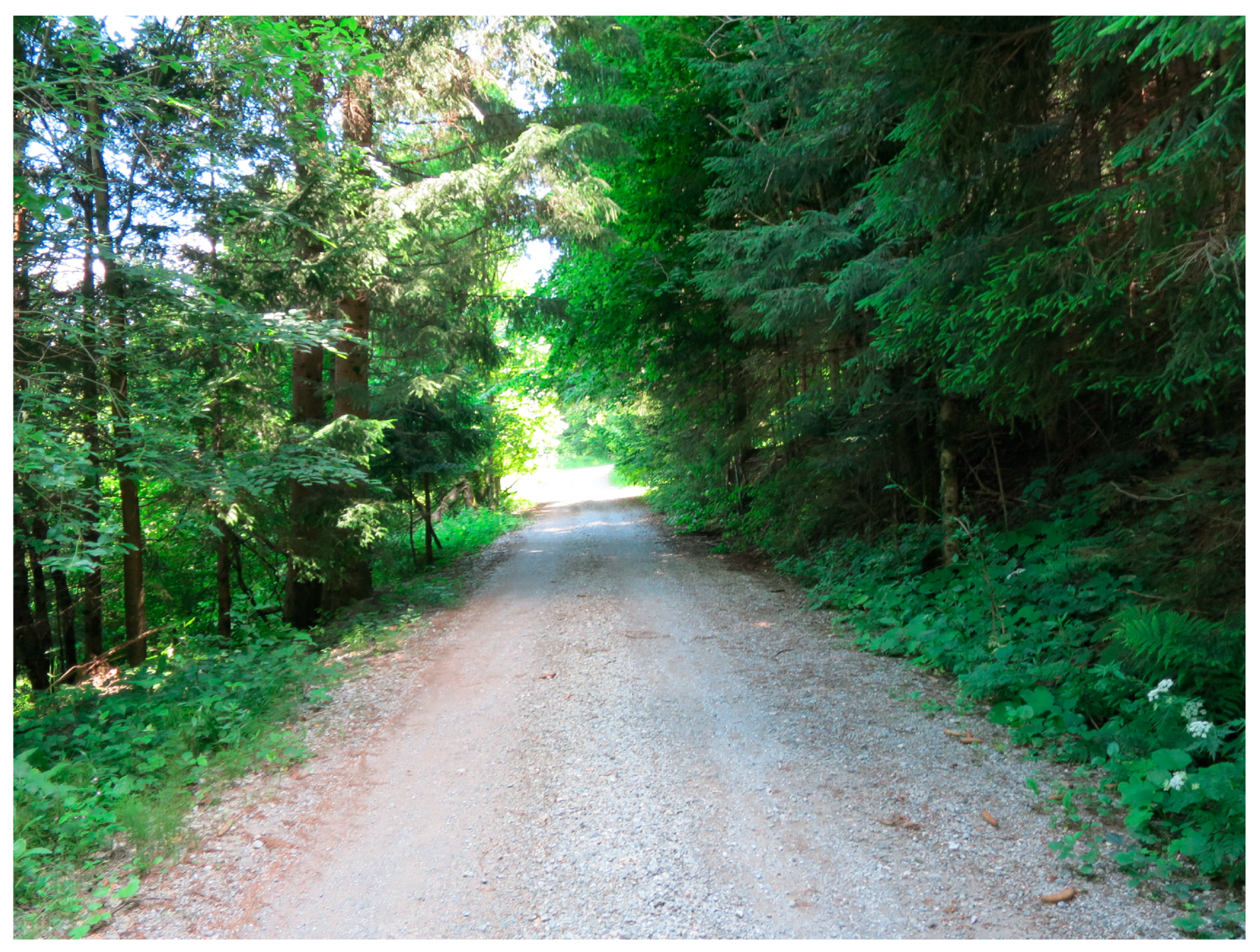 Sustainability 15 04862 g0a2