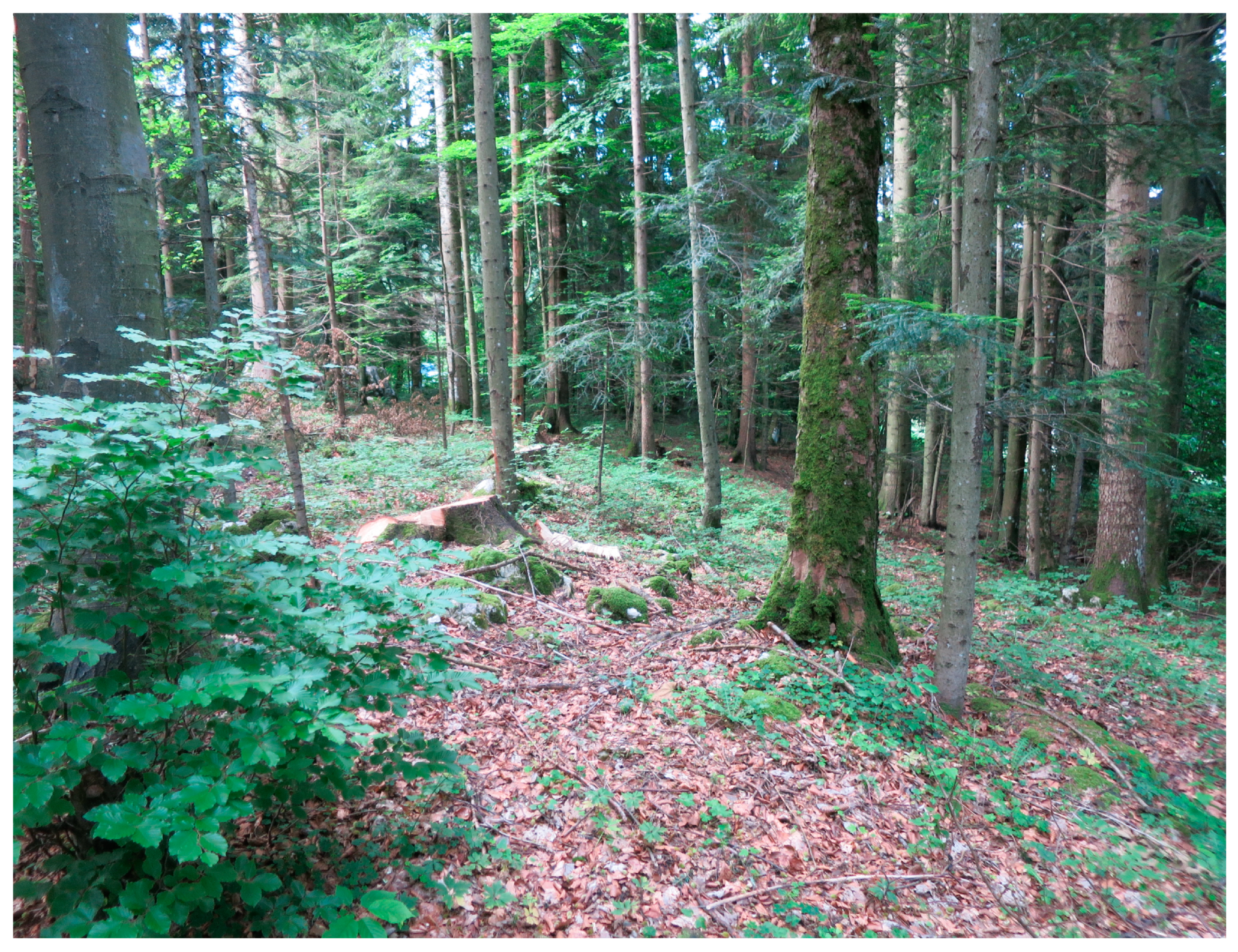 Sustainability 15 04862 g0a3