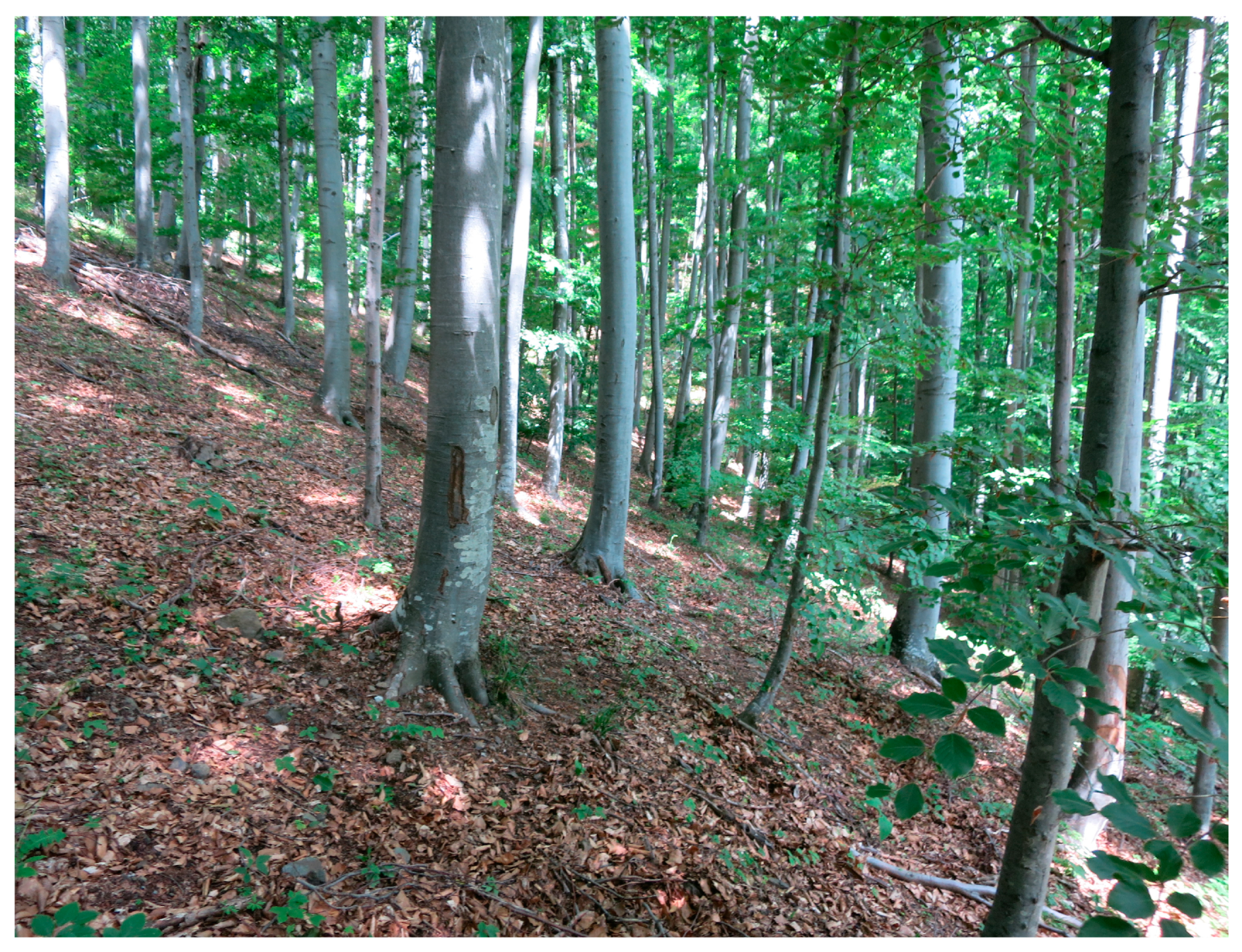 Sustainability 15 04862 g0a7