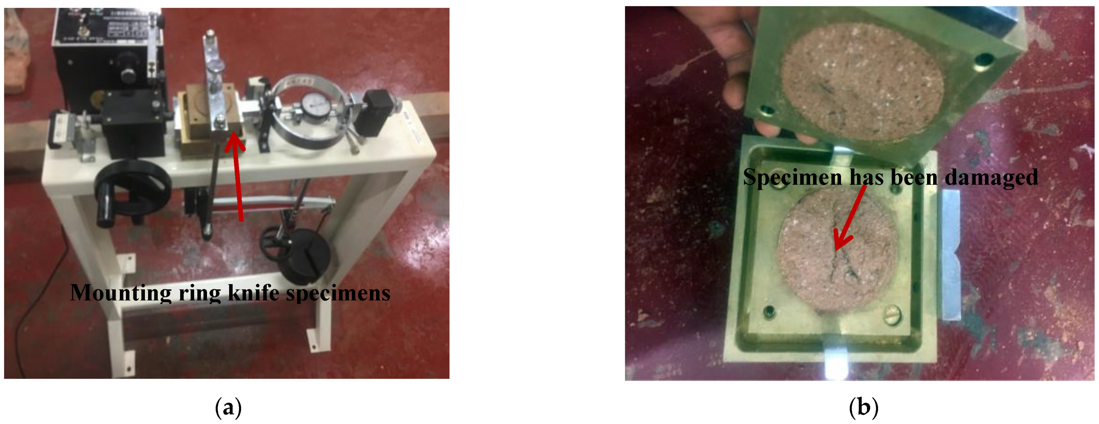 Sustainability 15 04900 g004