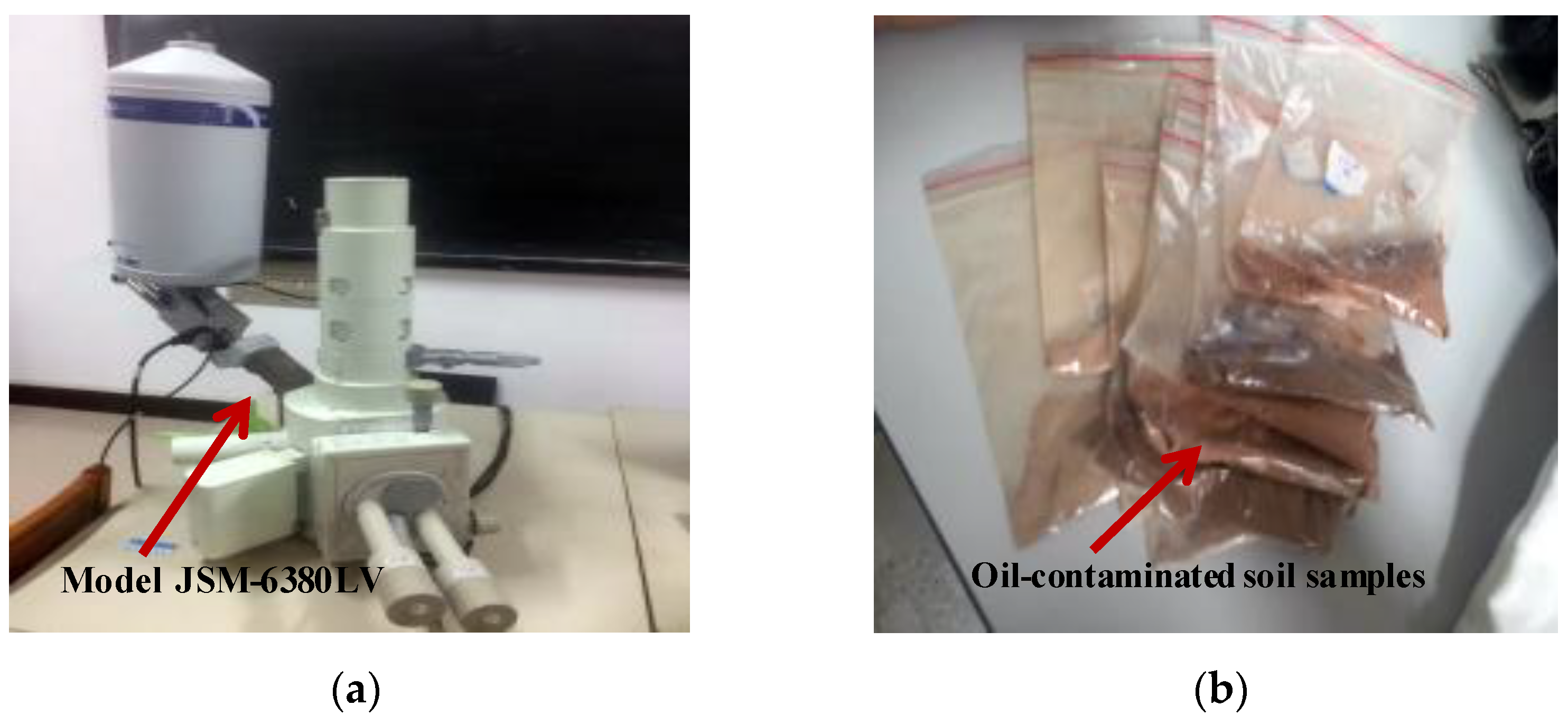 Sustainability 15 04900 g006