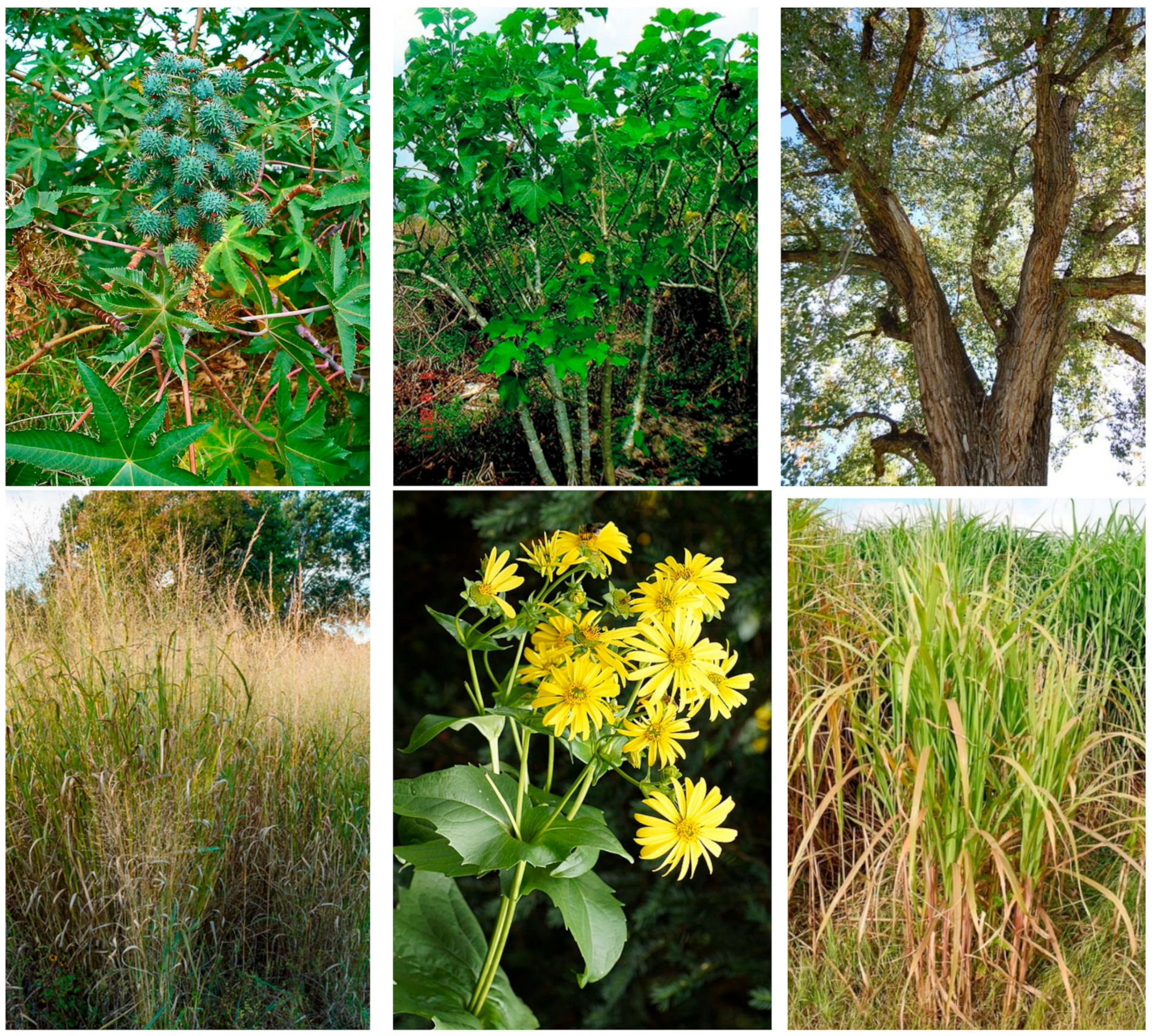 Sustainability 15 04923 g001