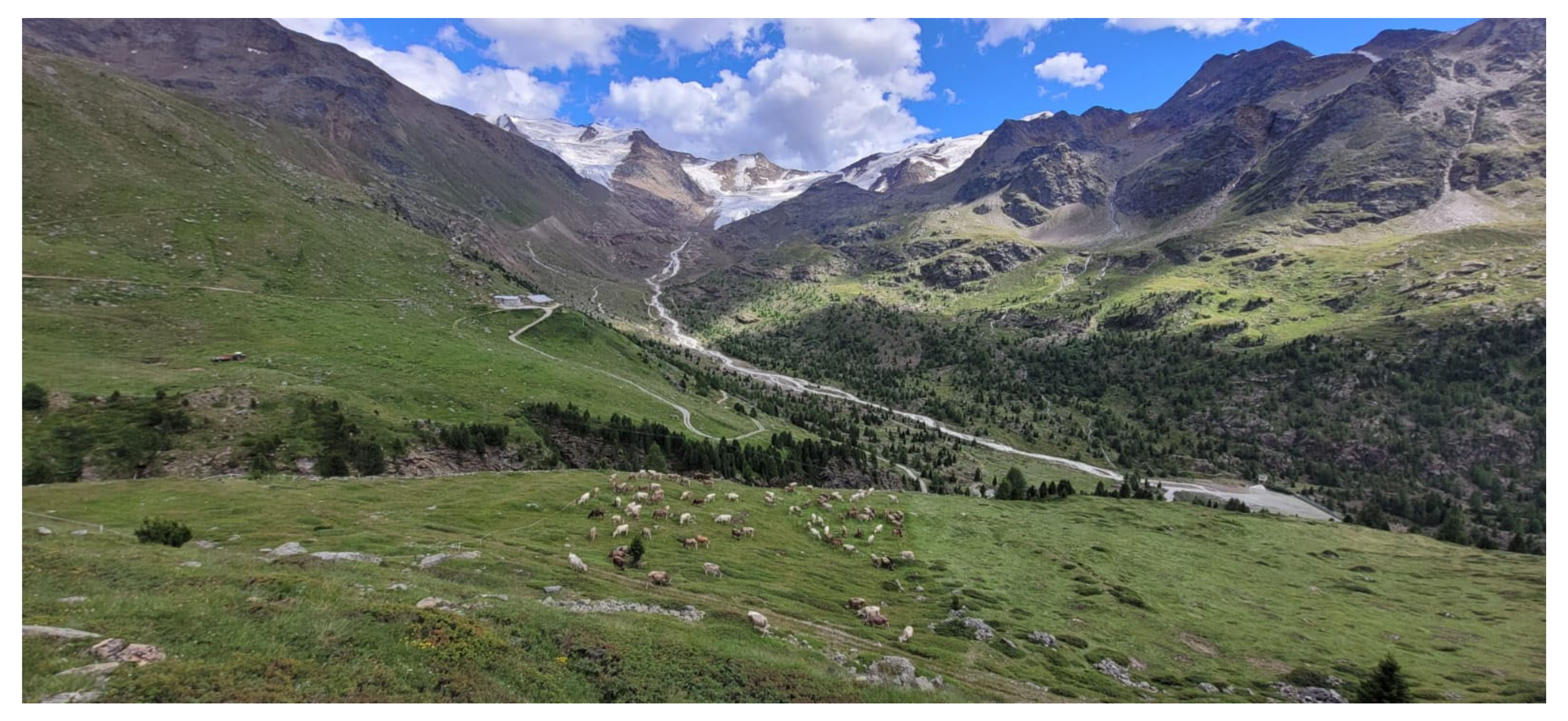 Sustainability 15 04979 g006 Sustainability 15 04979 g006